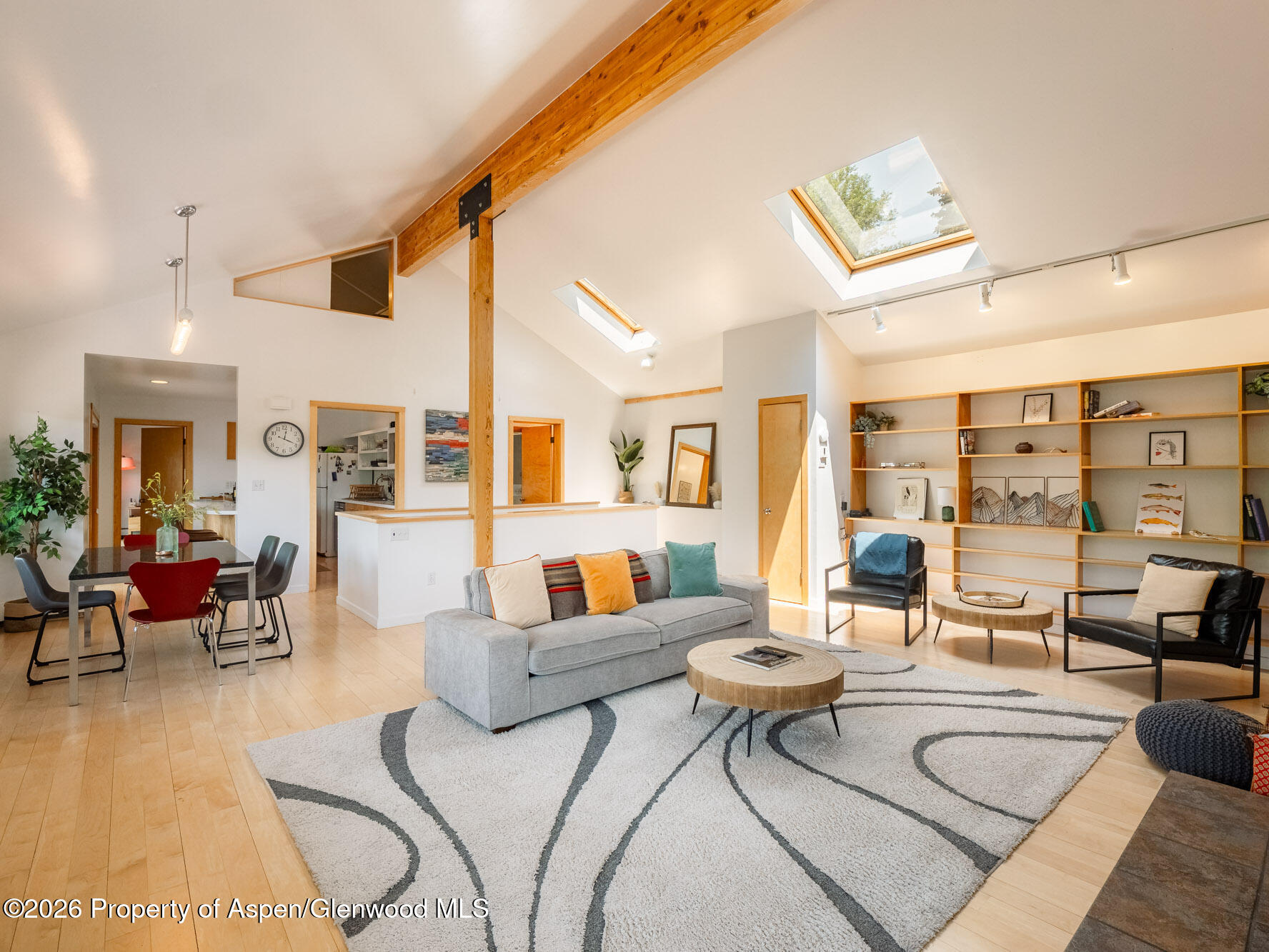 216 E Homestead Drive Basalt CO 81621