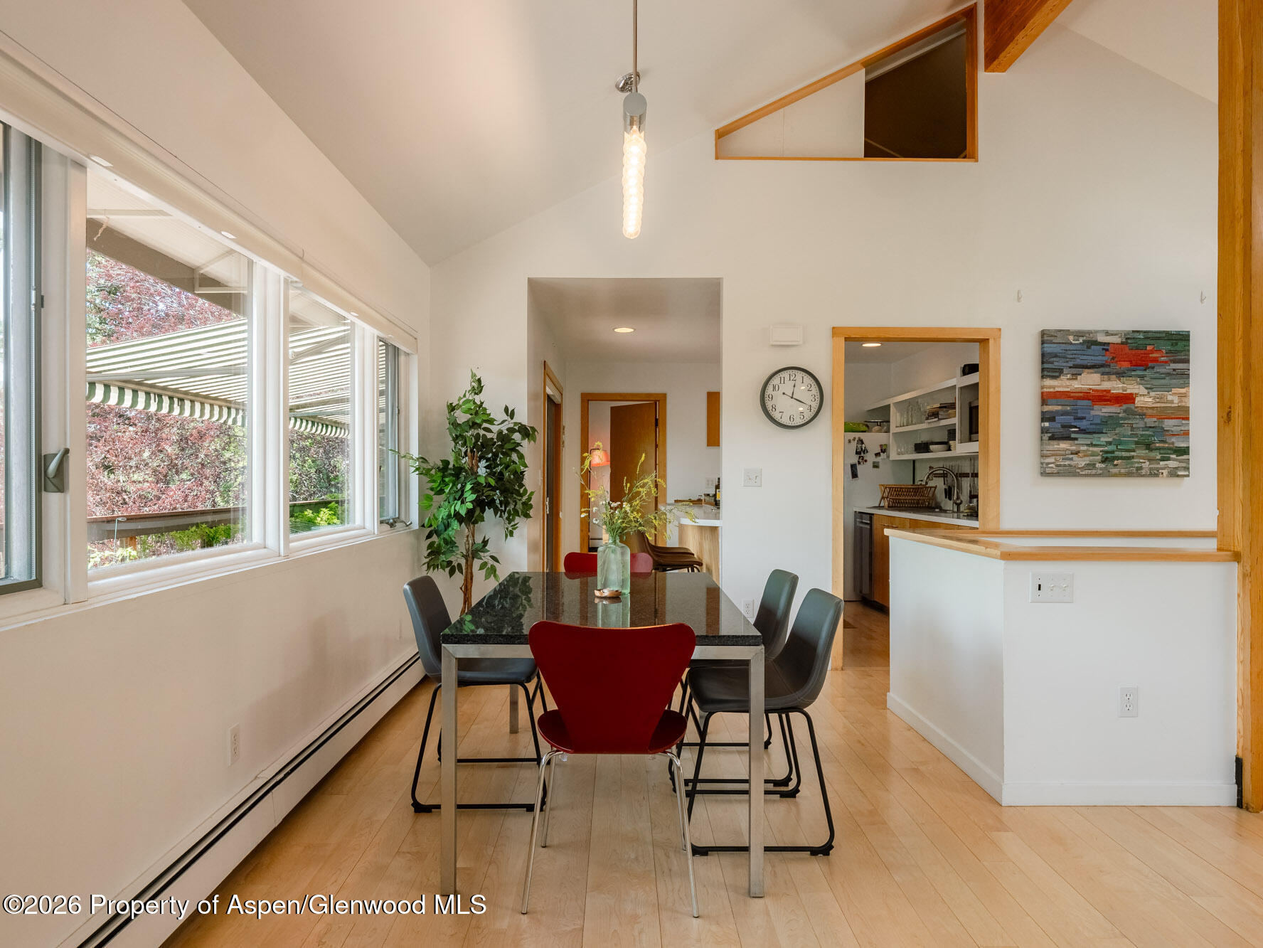 216 E Homestead Drive Basalt CO 81621