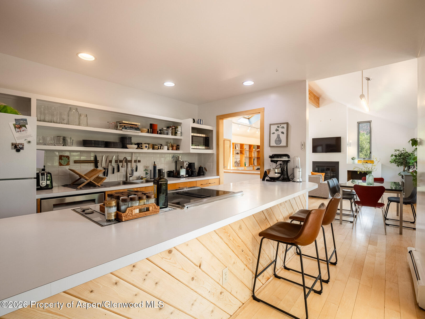 216 E Homestead Drive Basalt CO 81621