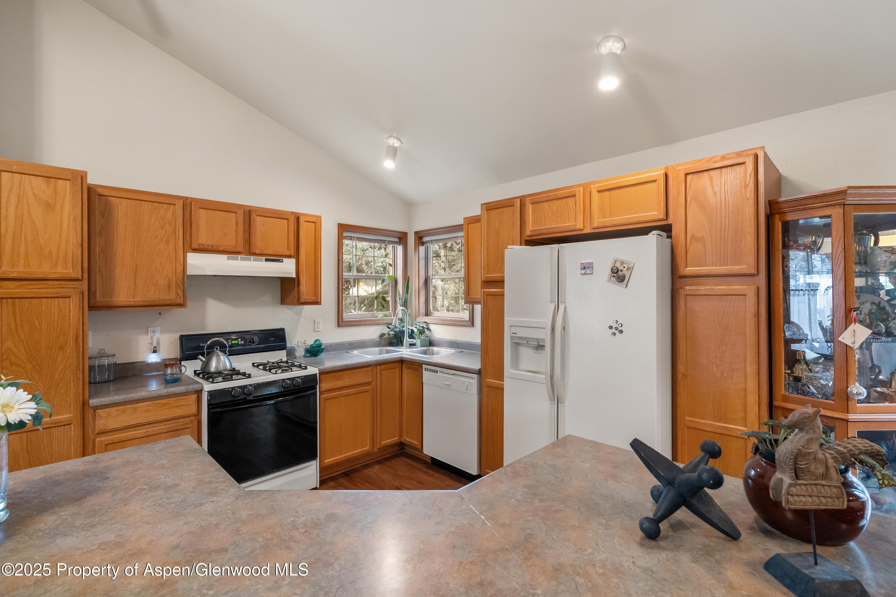 310 Mesquite Court New Castle CO 81647