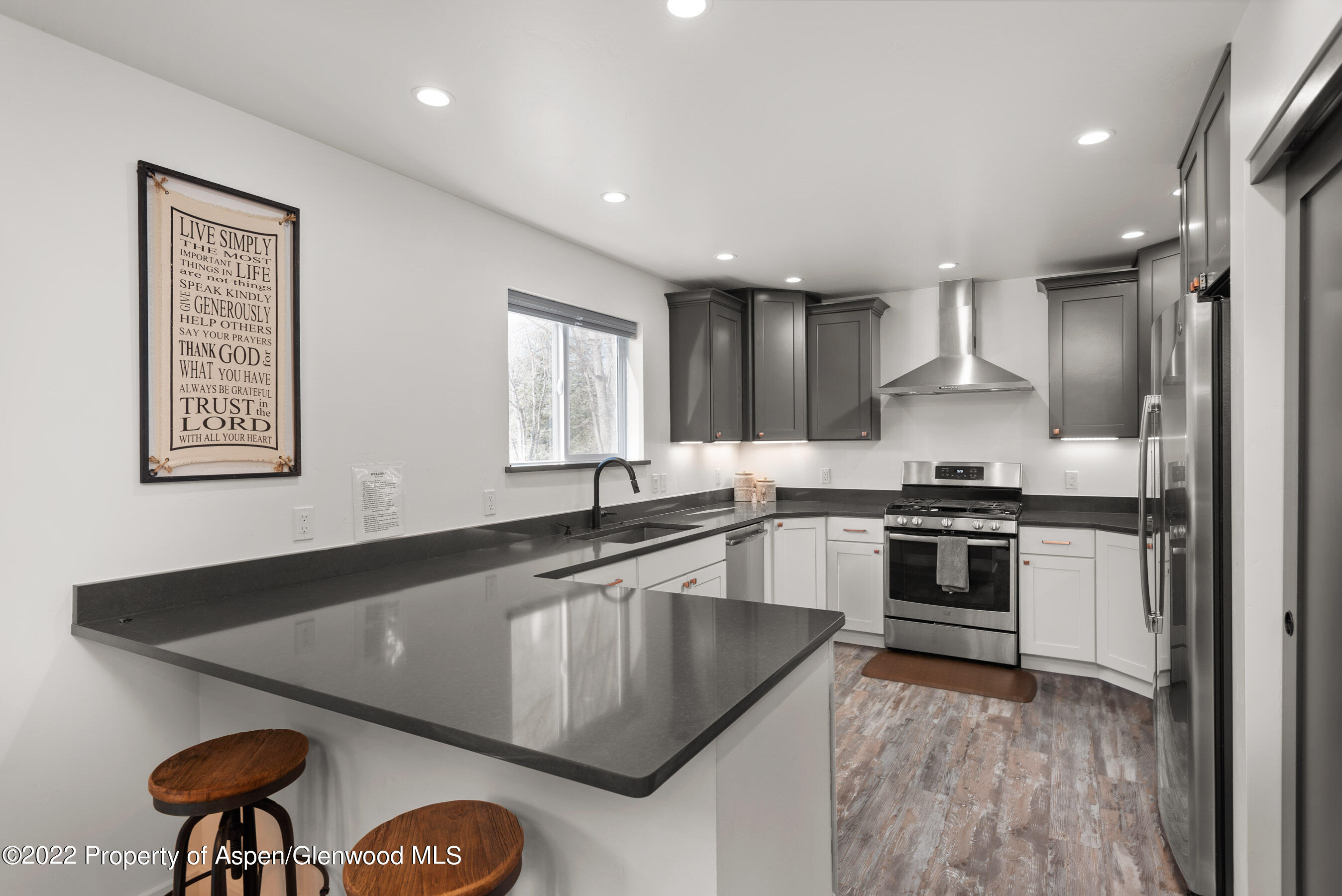 58 Surrey Street Carbondale CO 81623