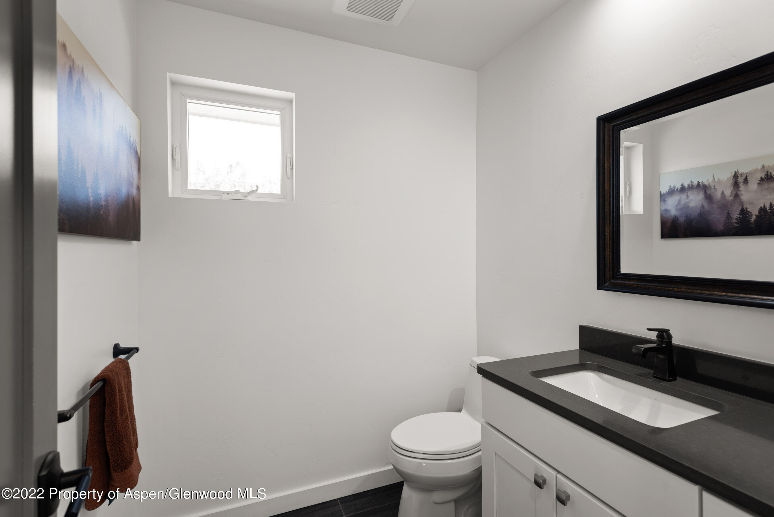 58 Surrey Street Carbondale CO 81623