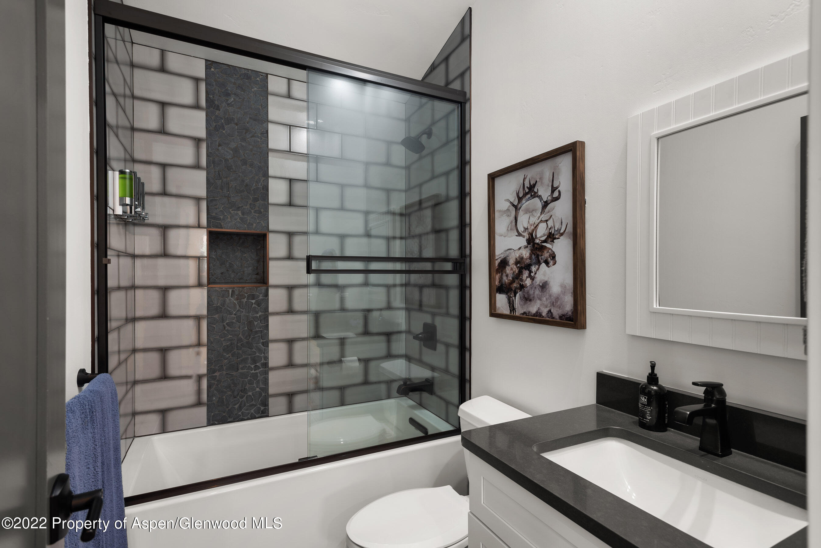 58 Surrey Street Carbondale CO 81623