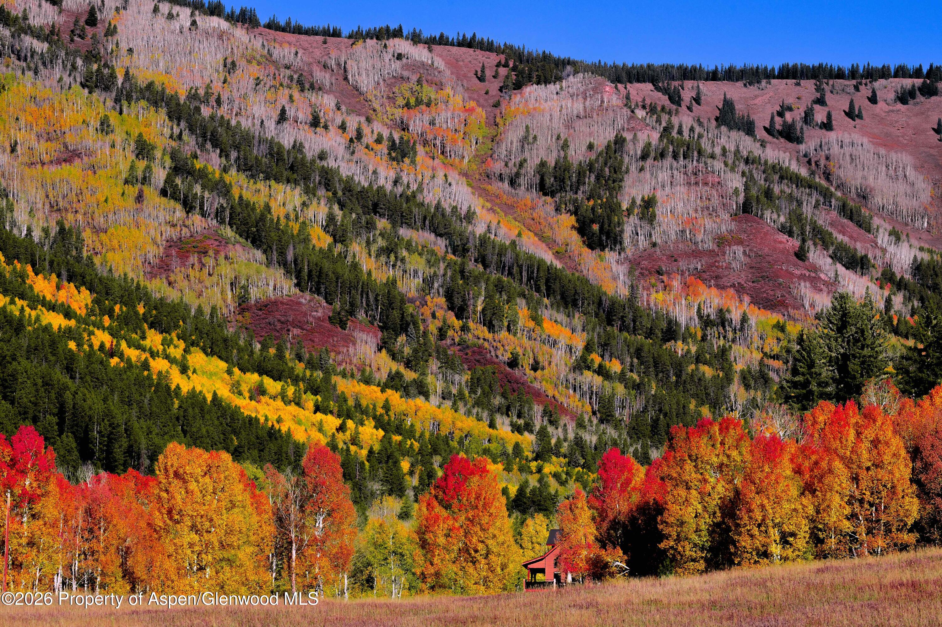 294 Ruedi Creek Road Basalt CO 81621