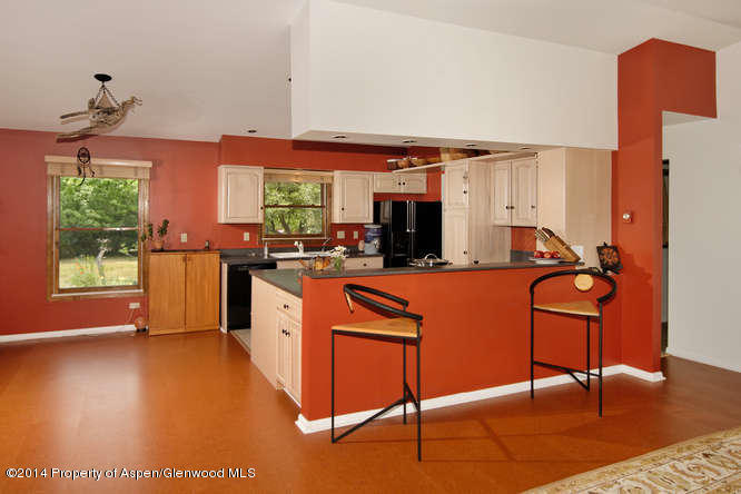 481 Stagecoach Lane Carbondale CO 81623
