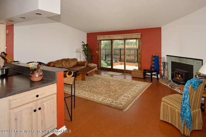 481 Stagecoach Lane Carbondale CO 81623
