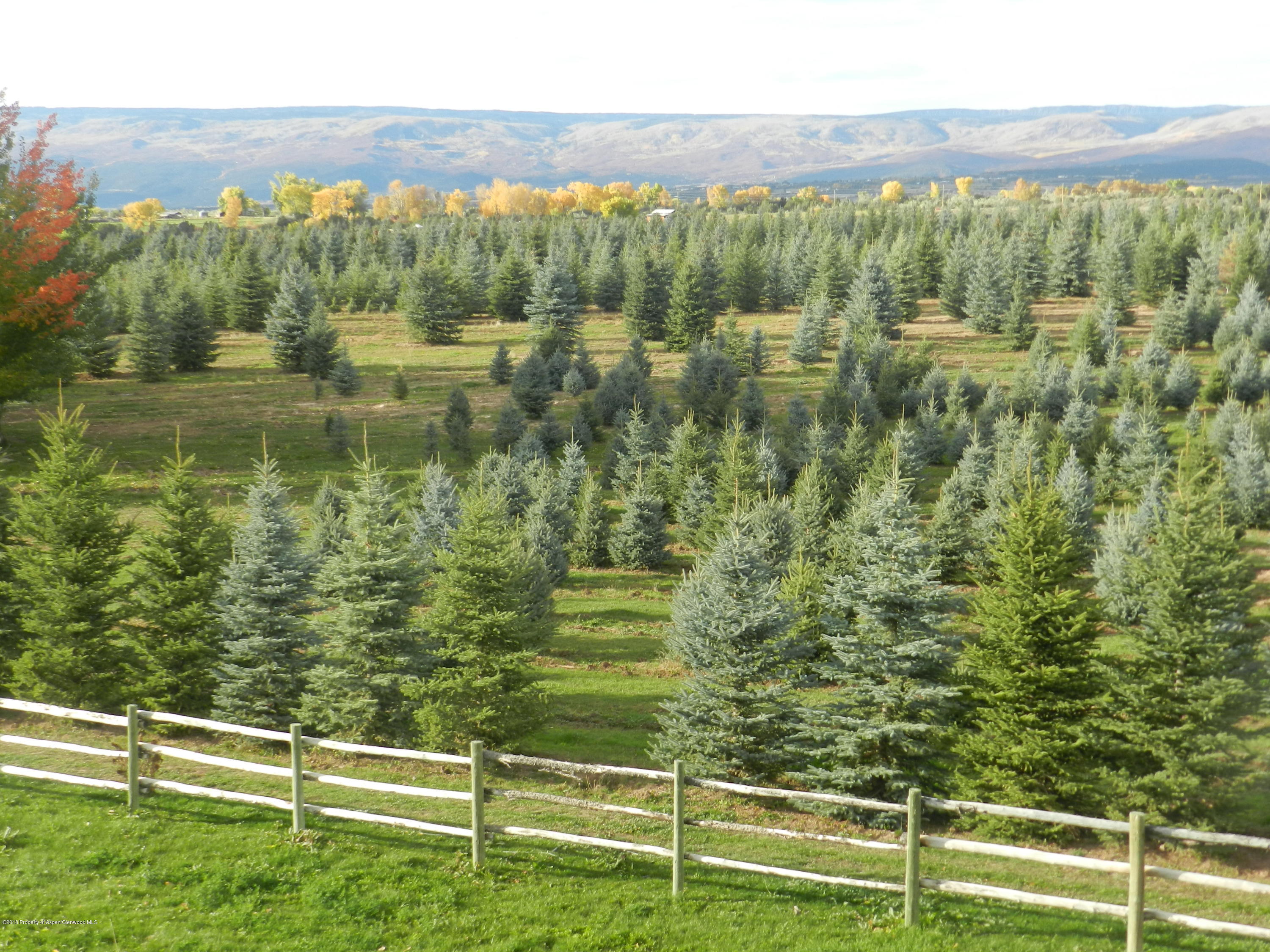 12427 Rimrock Road Hotchkiss CO 81419