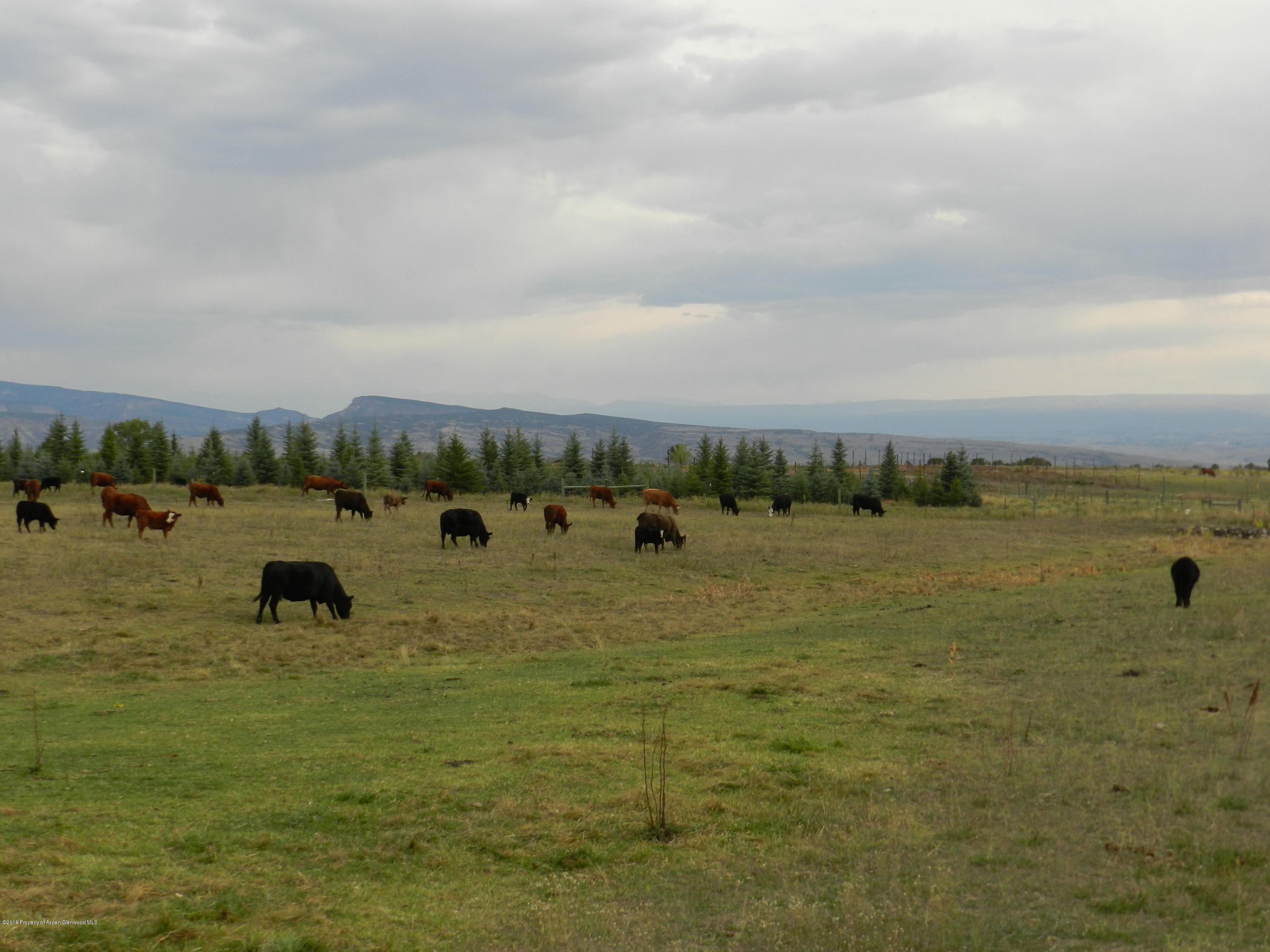 12427 Rimrock Road Hotchkiss CO 81419
