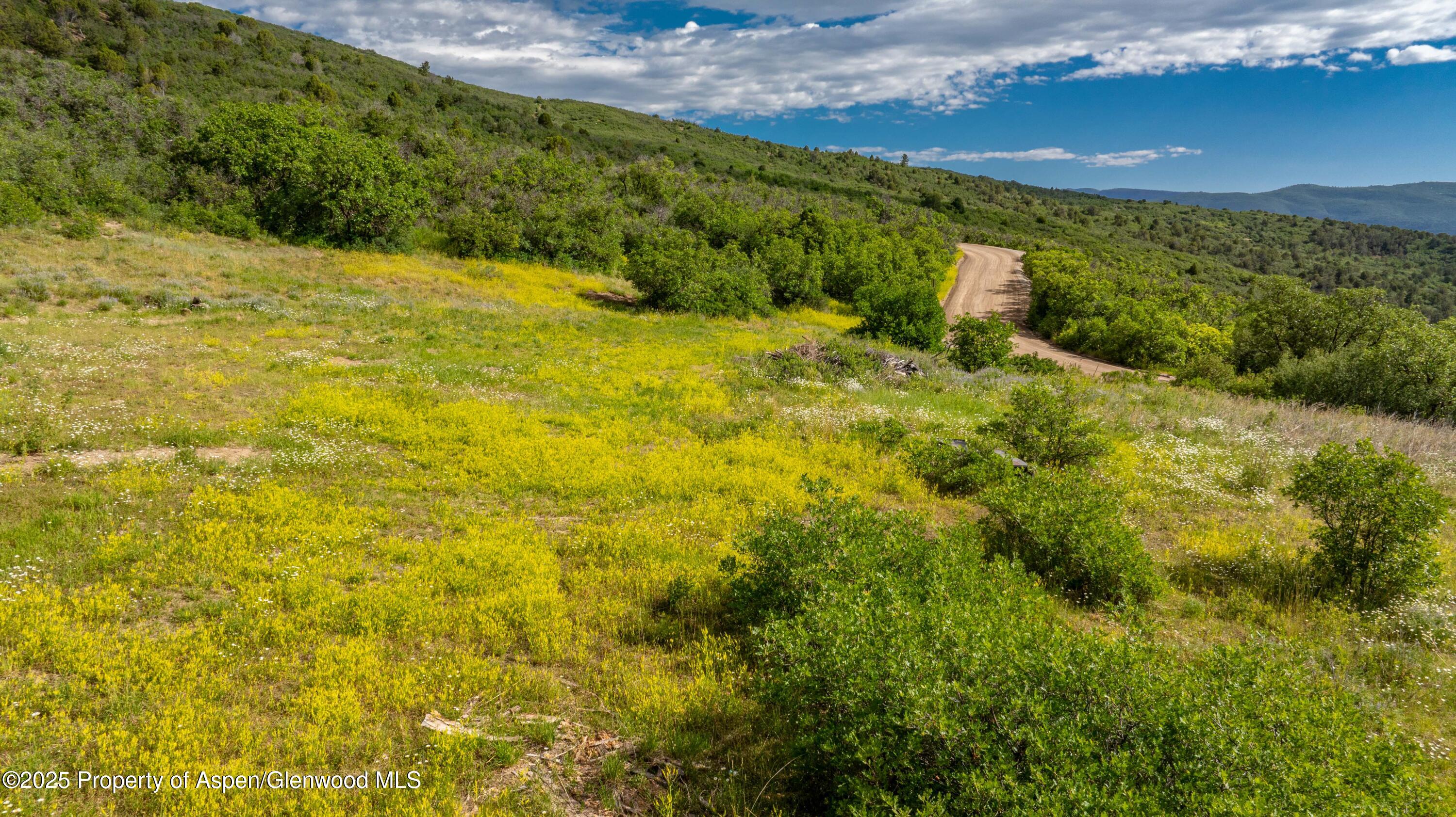 Tbd Co Road 126 Glenwood Springs CO 81601