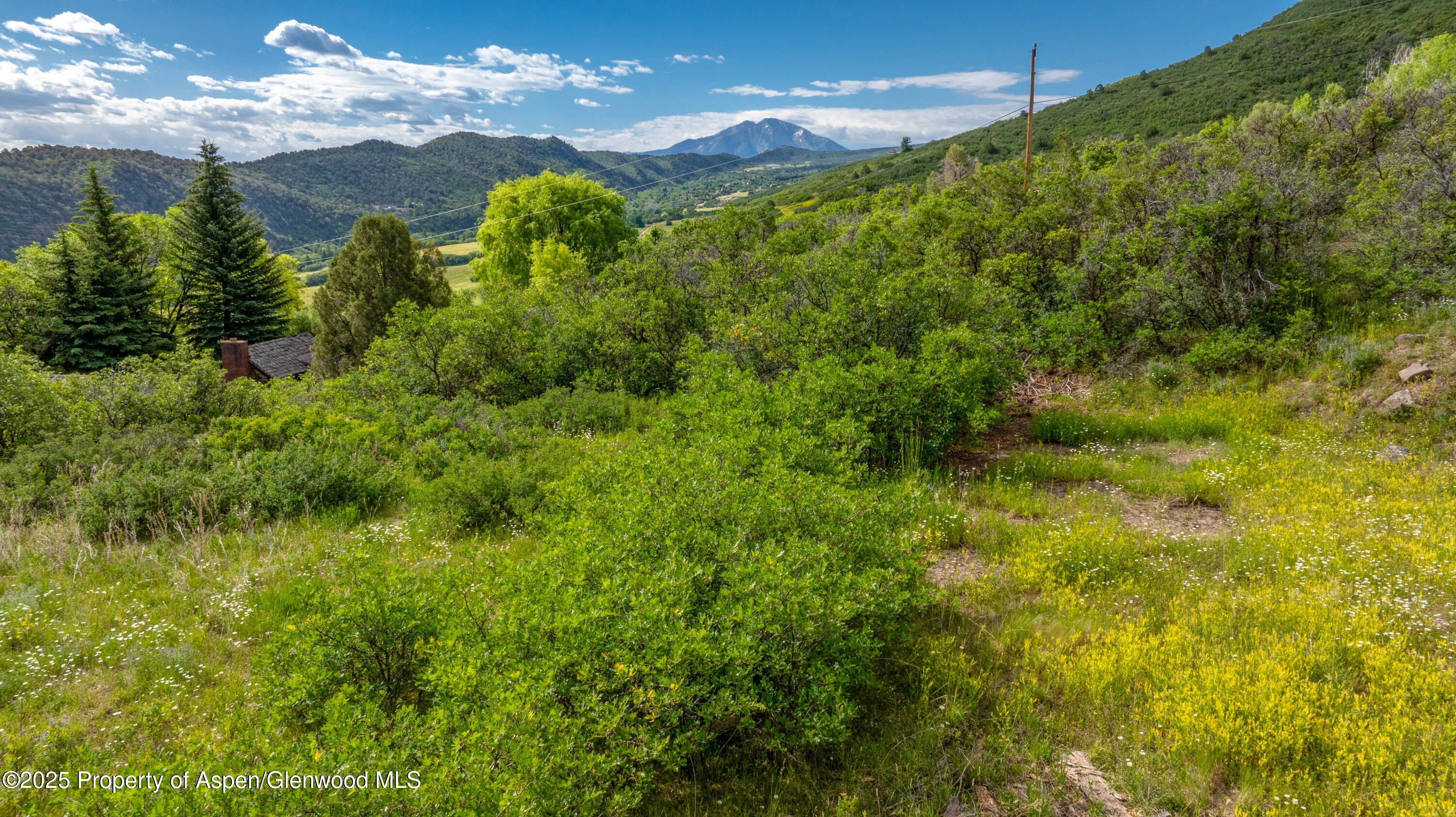 Tbd Co Road 126 Glenwood Springs CO 81601