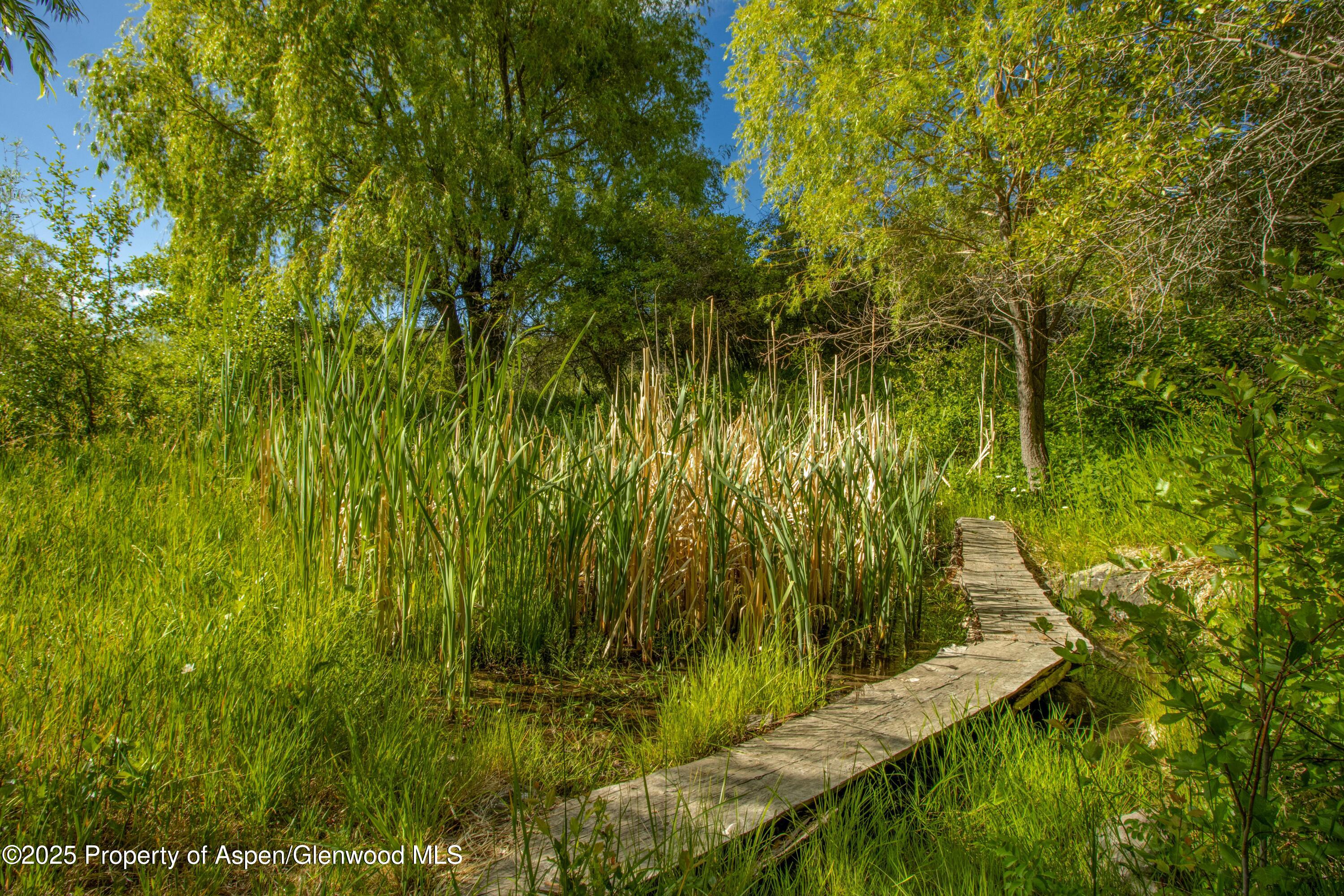 Tbd Co Road 126 Glenwood Springs CO 81601