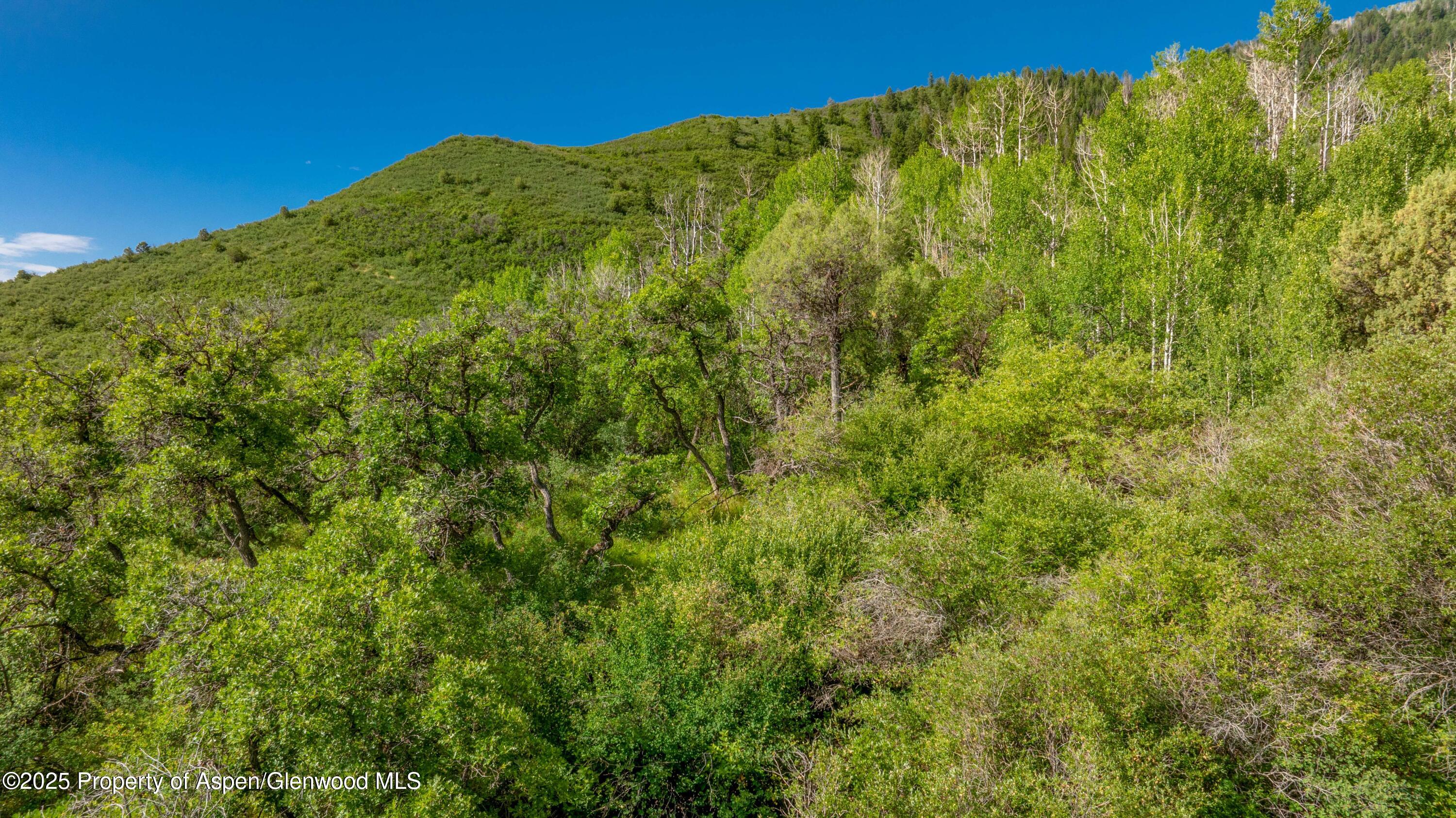 Tbd Co Road 126 Glenwood Springs CO 81601