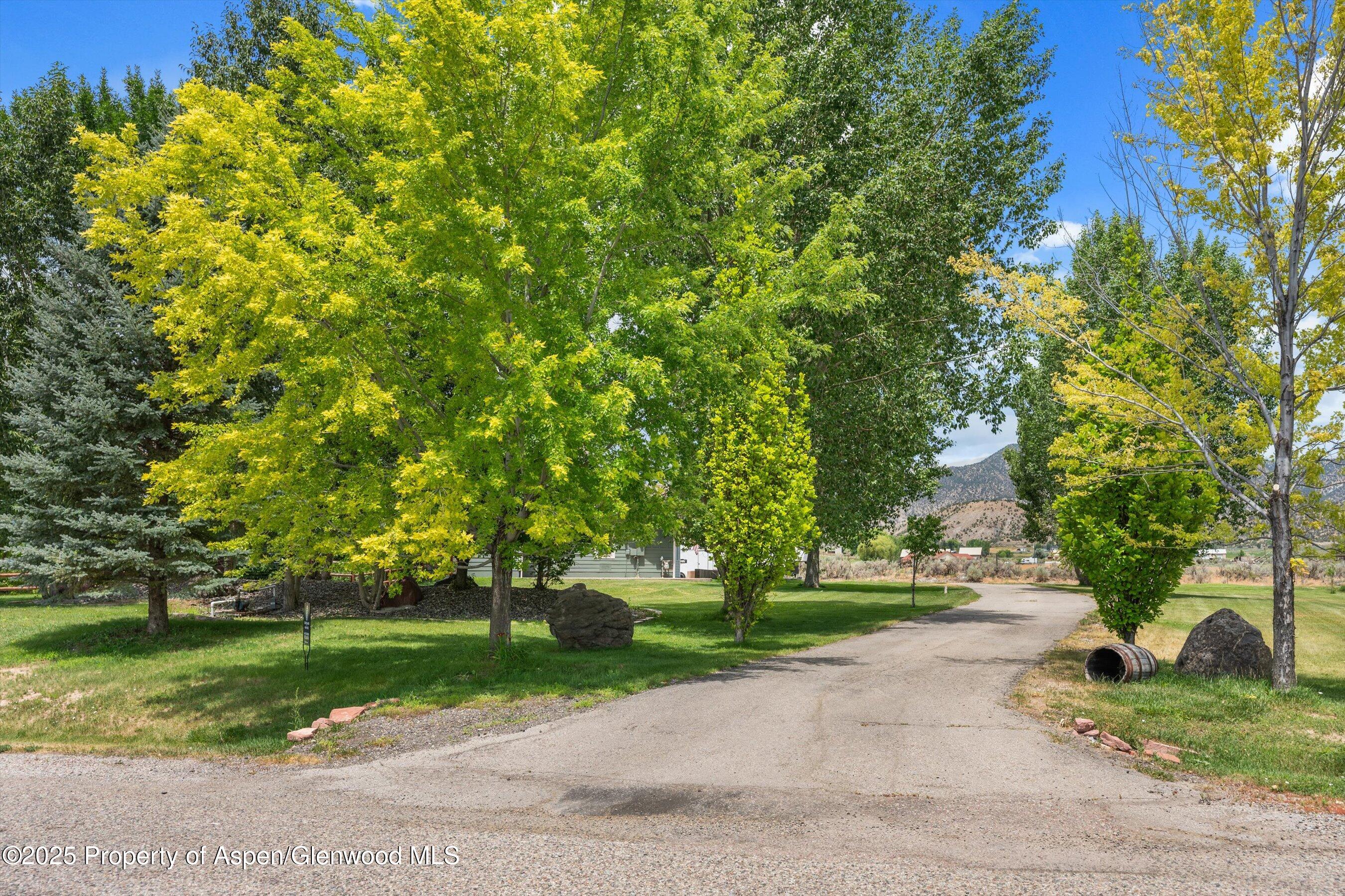 227 N Meadow Drive Rifle CO 81650