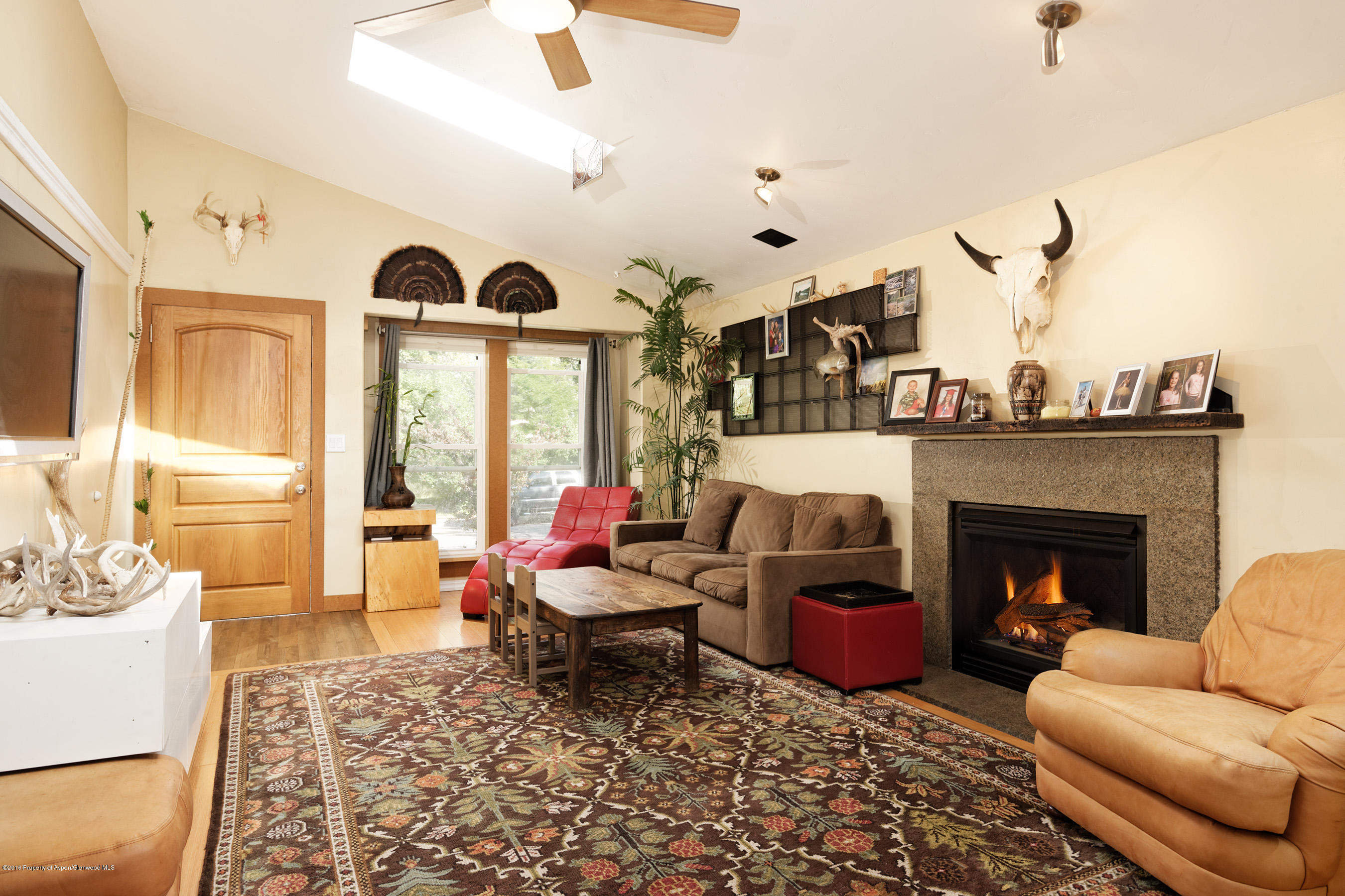 37 Badger Road Carbondale CO 81623
