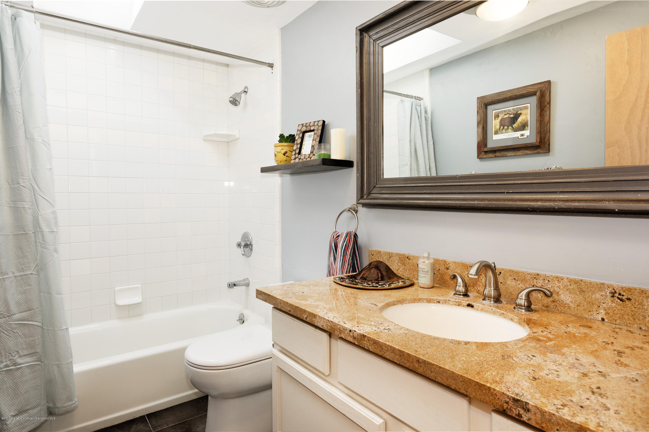 37 Badger Road Carbondale CO 81623
