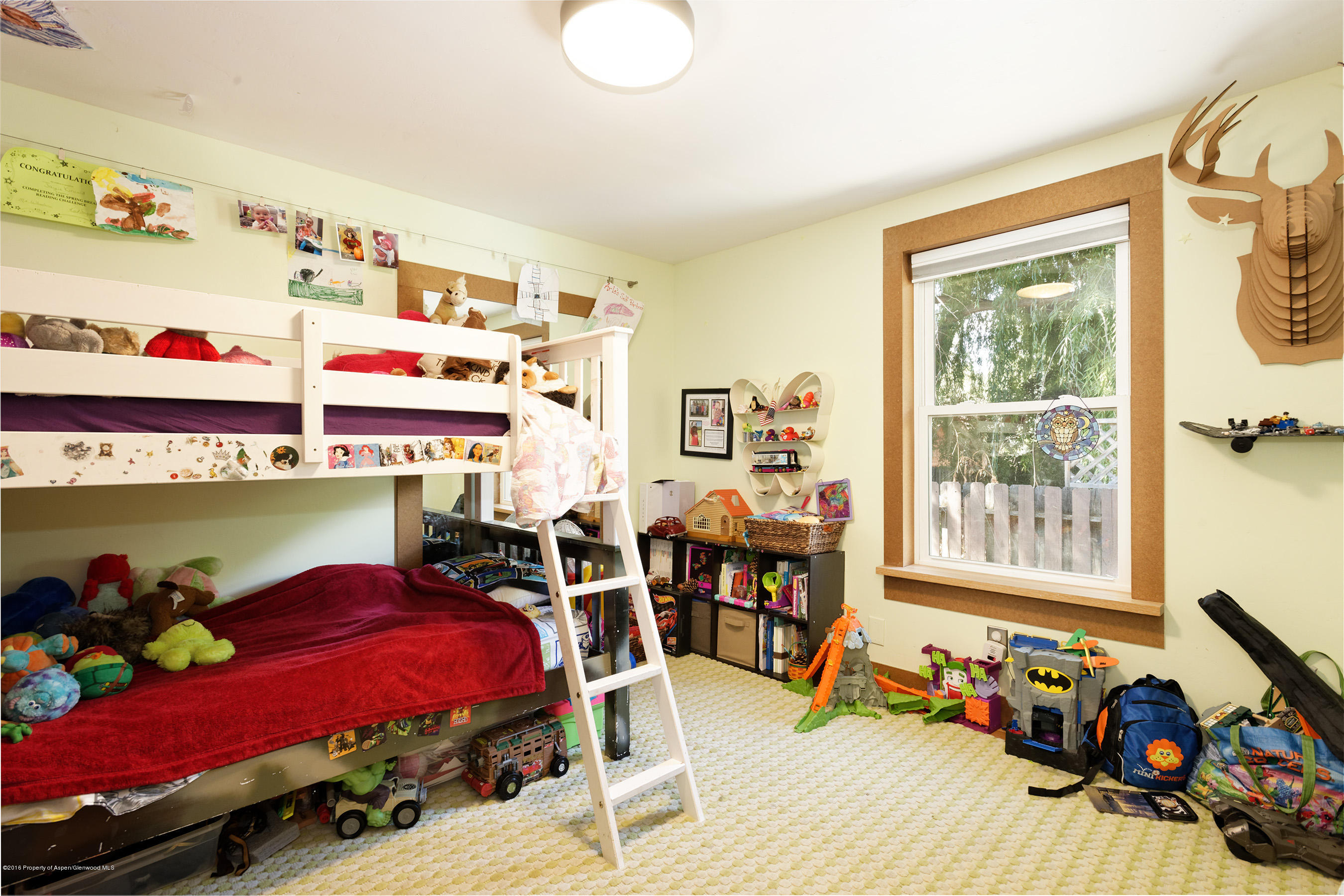 37 Badger Road Carbondale CO 81623