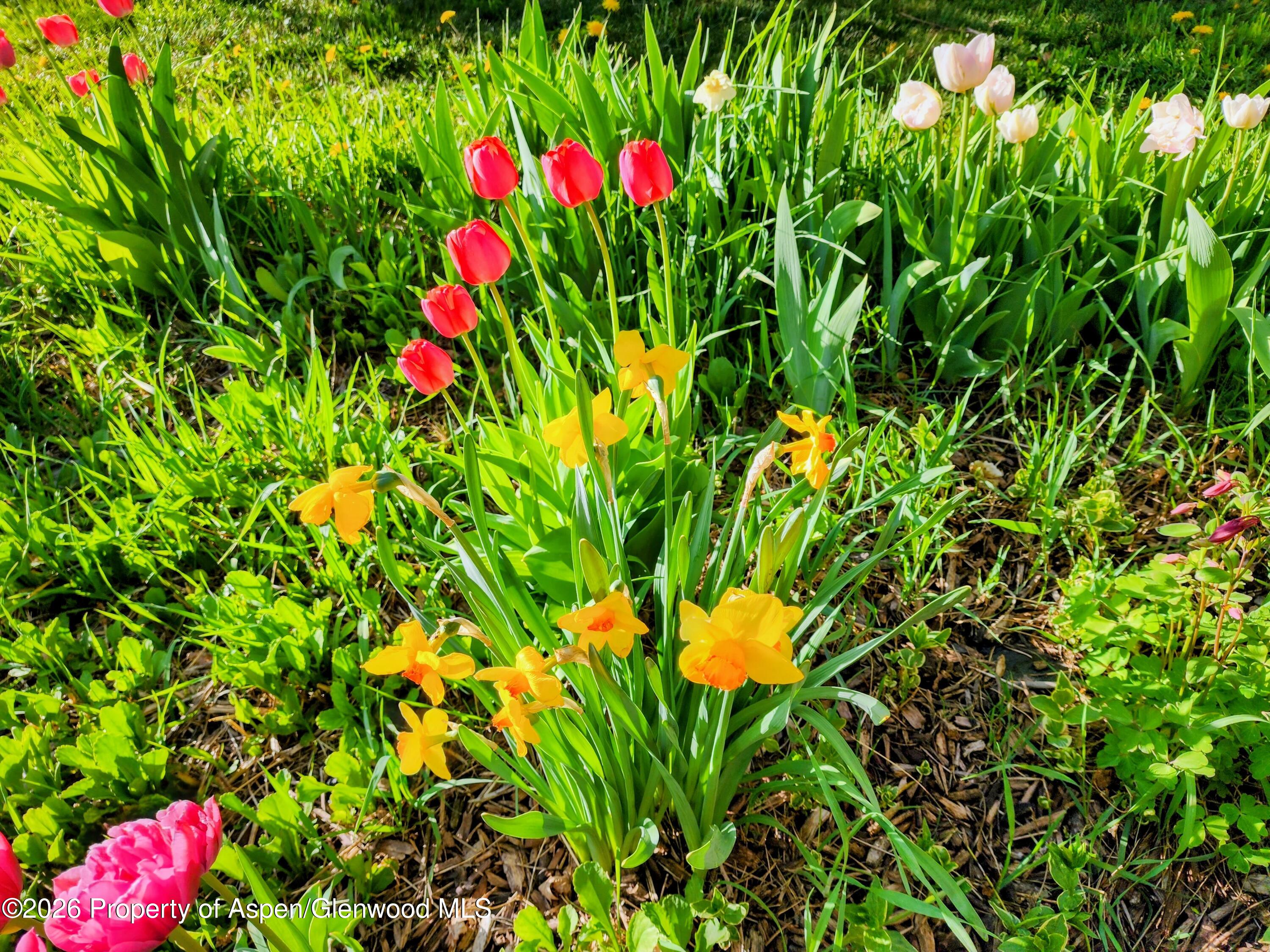 4243 Peach Valley Road Silt CO 81652