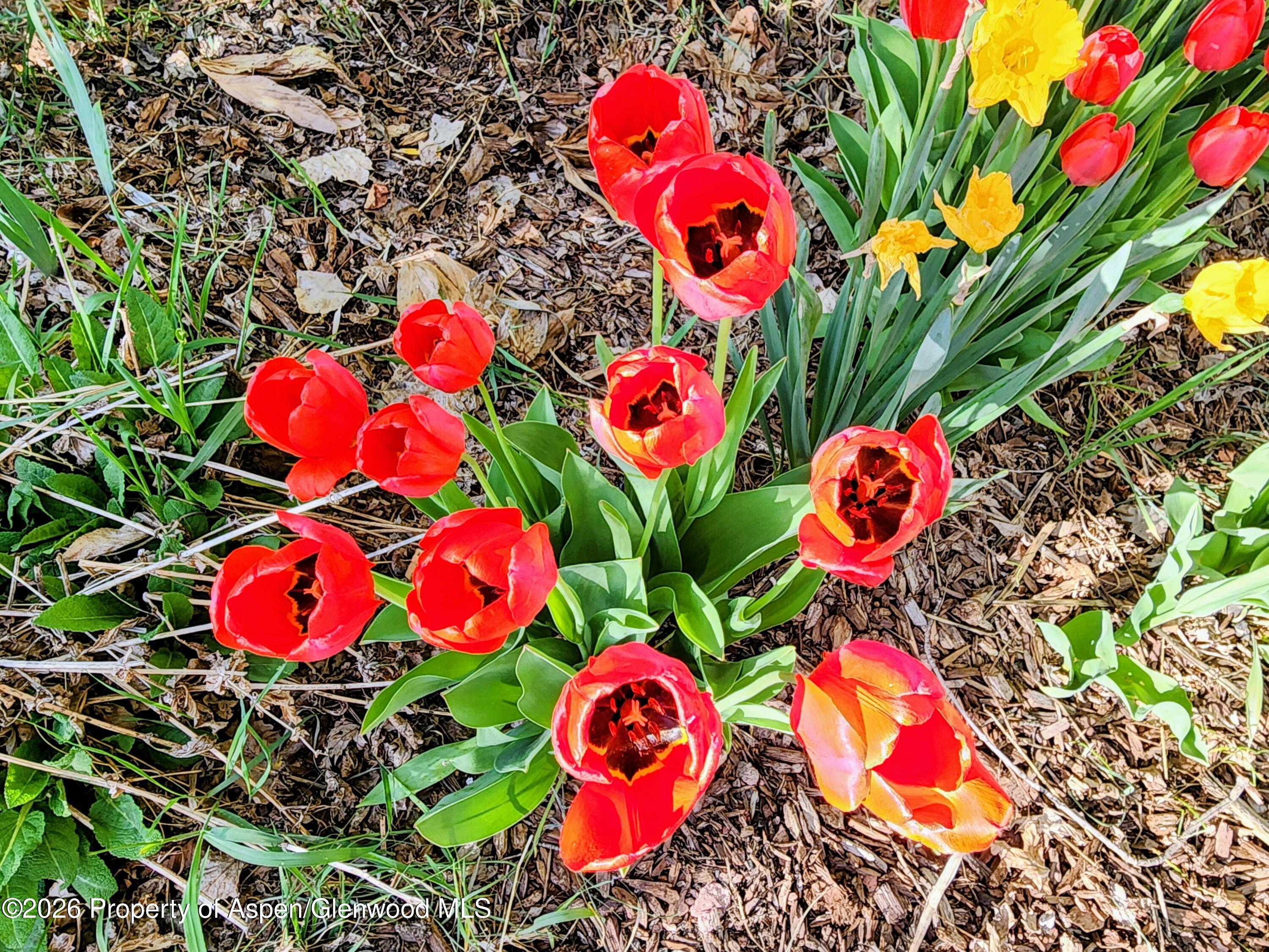 4243 Peach Valley Road Silt CO 81652