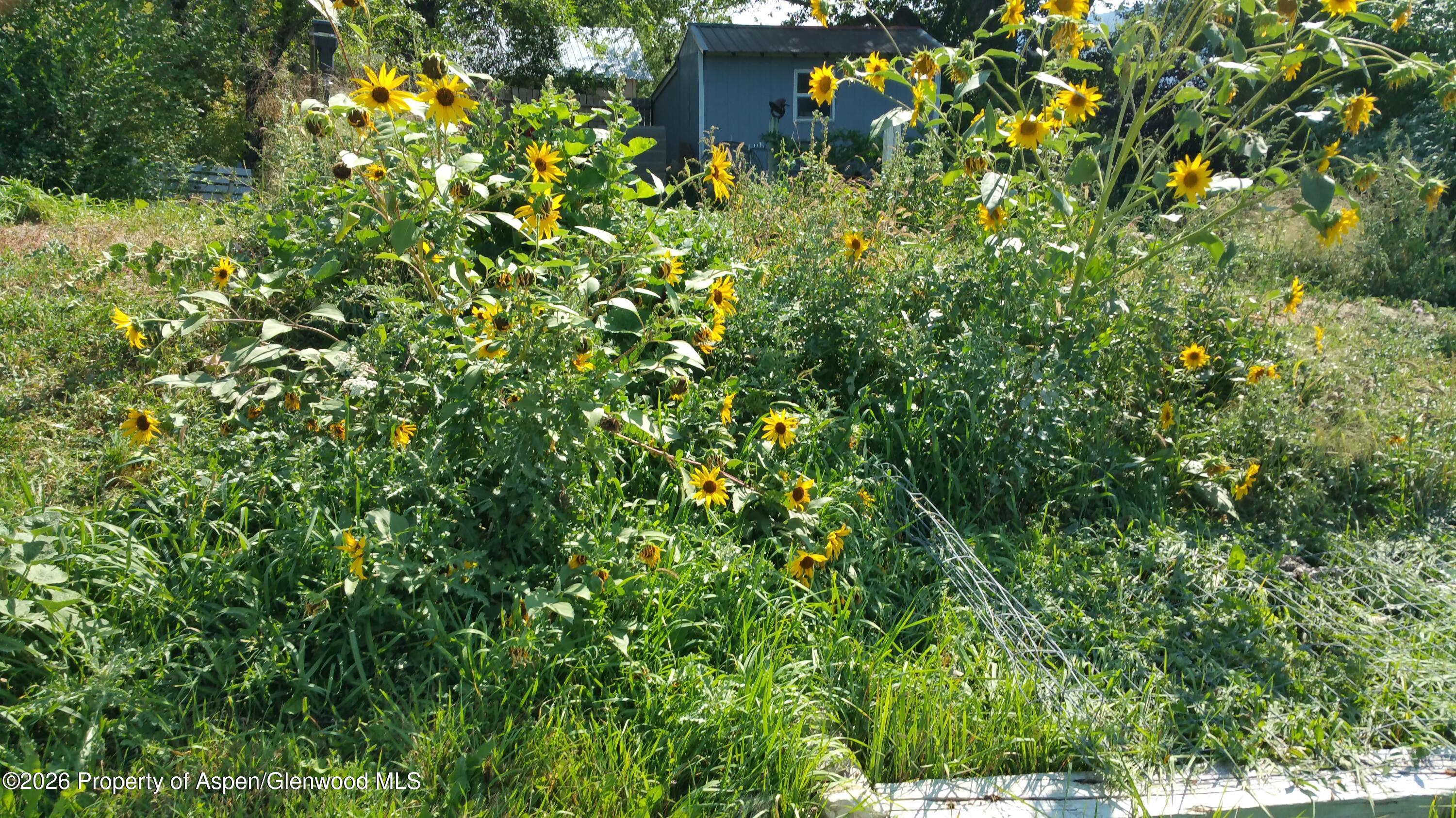 4243 Peach Valley Road Silt CO 81652