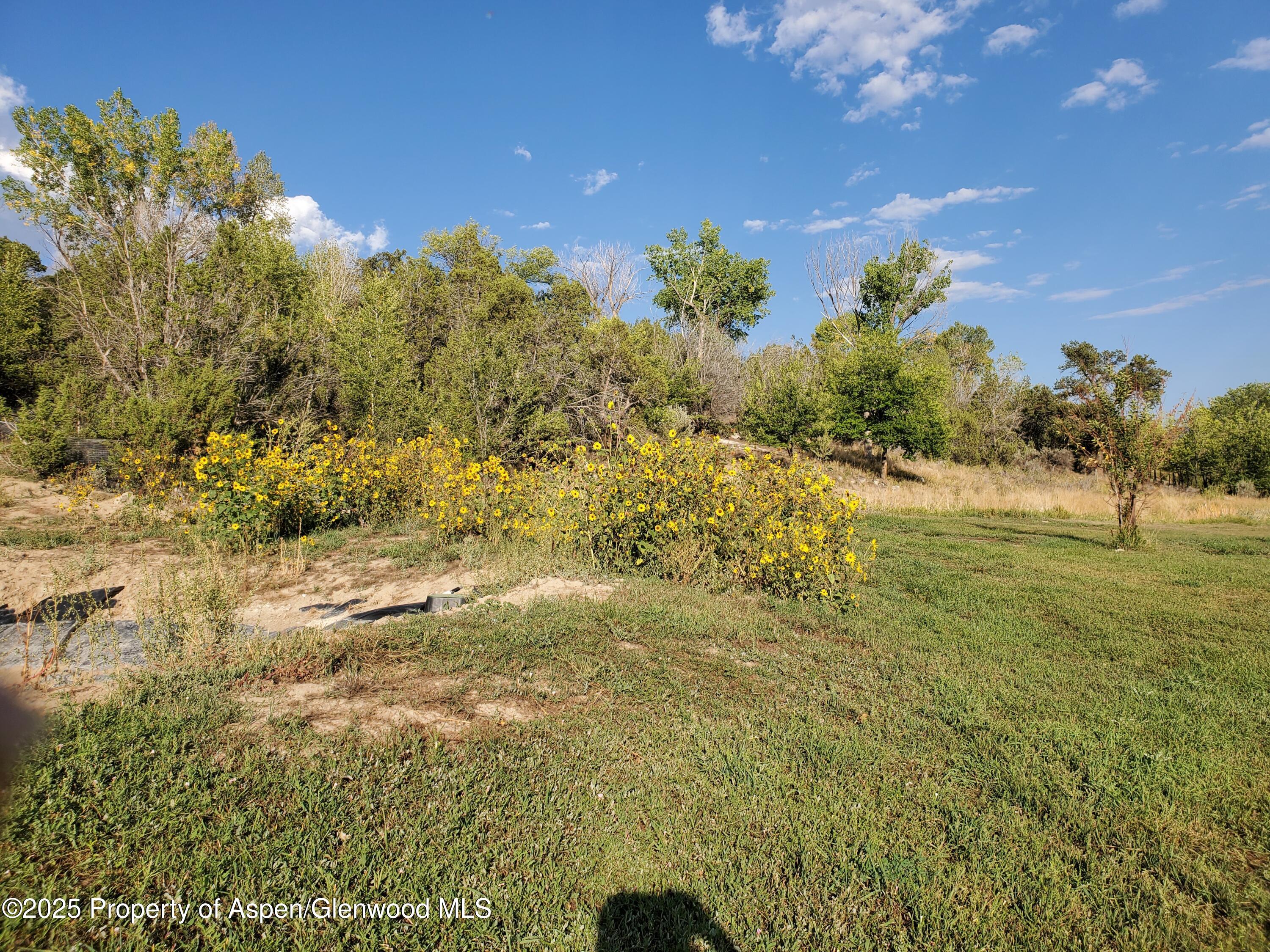 4243 Peach Valley Road Silt CO 81652