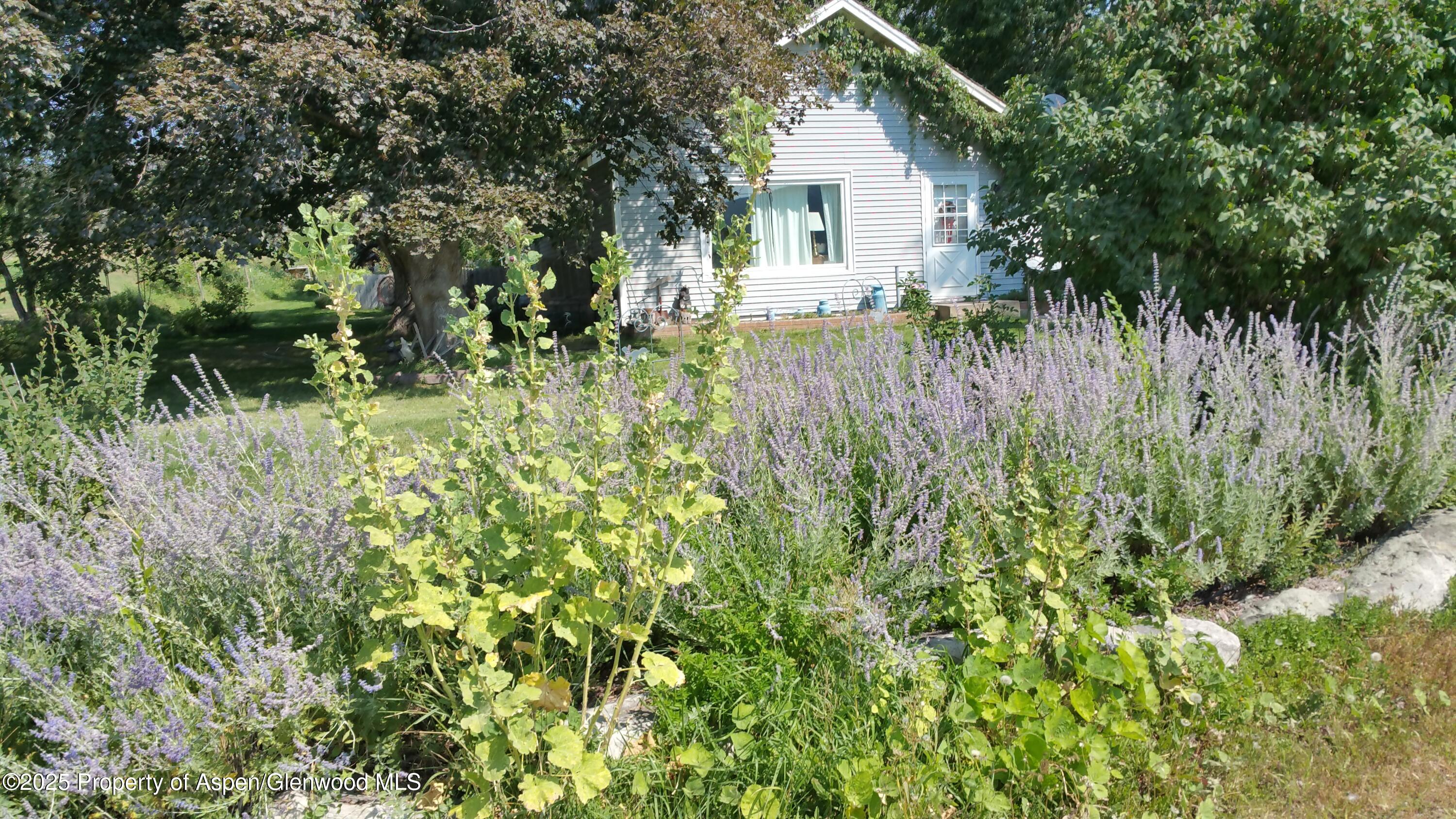 4243 Peach Valley Road Silt CO 81652