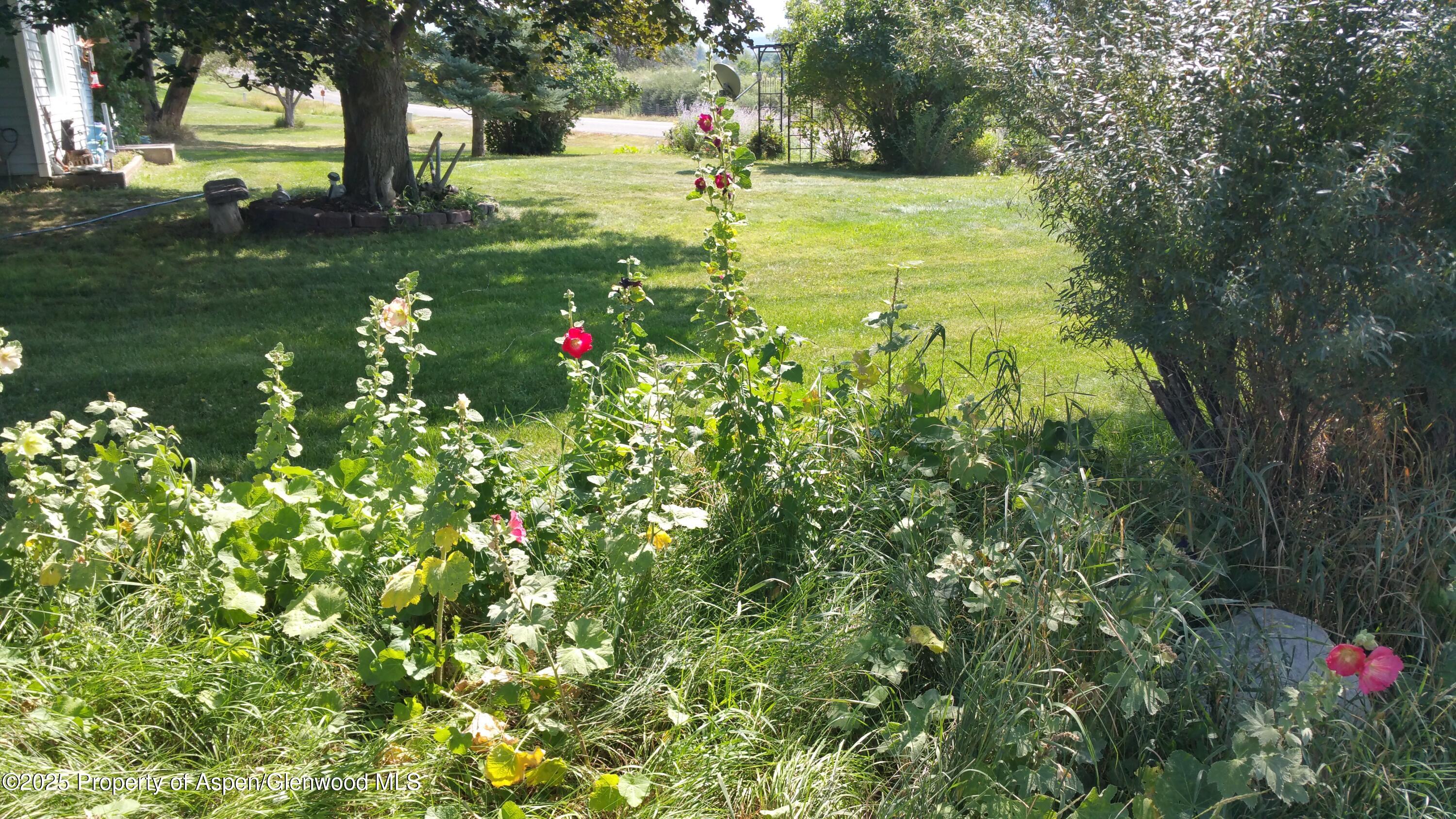 4243 Peach Valley Road Silt CO 81652