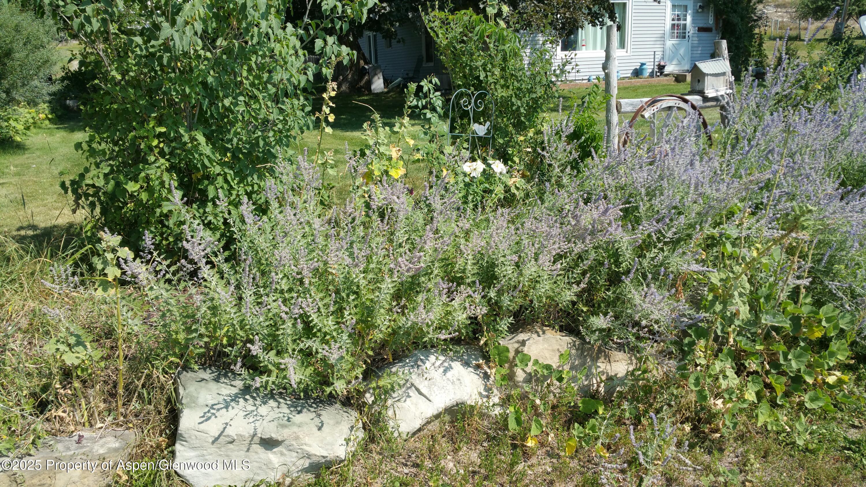 4243 Peach Valley Road Silt CO 81652