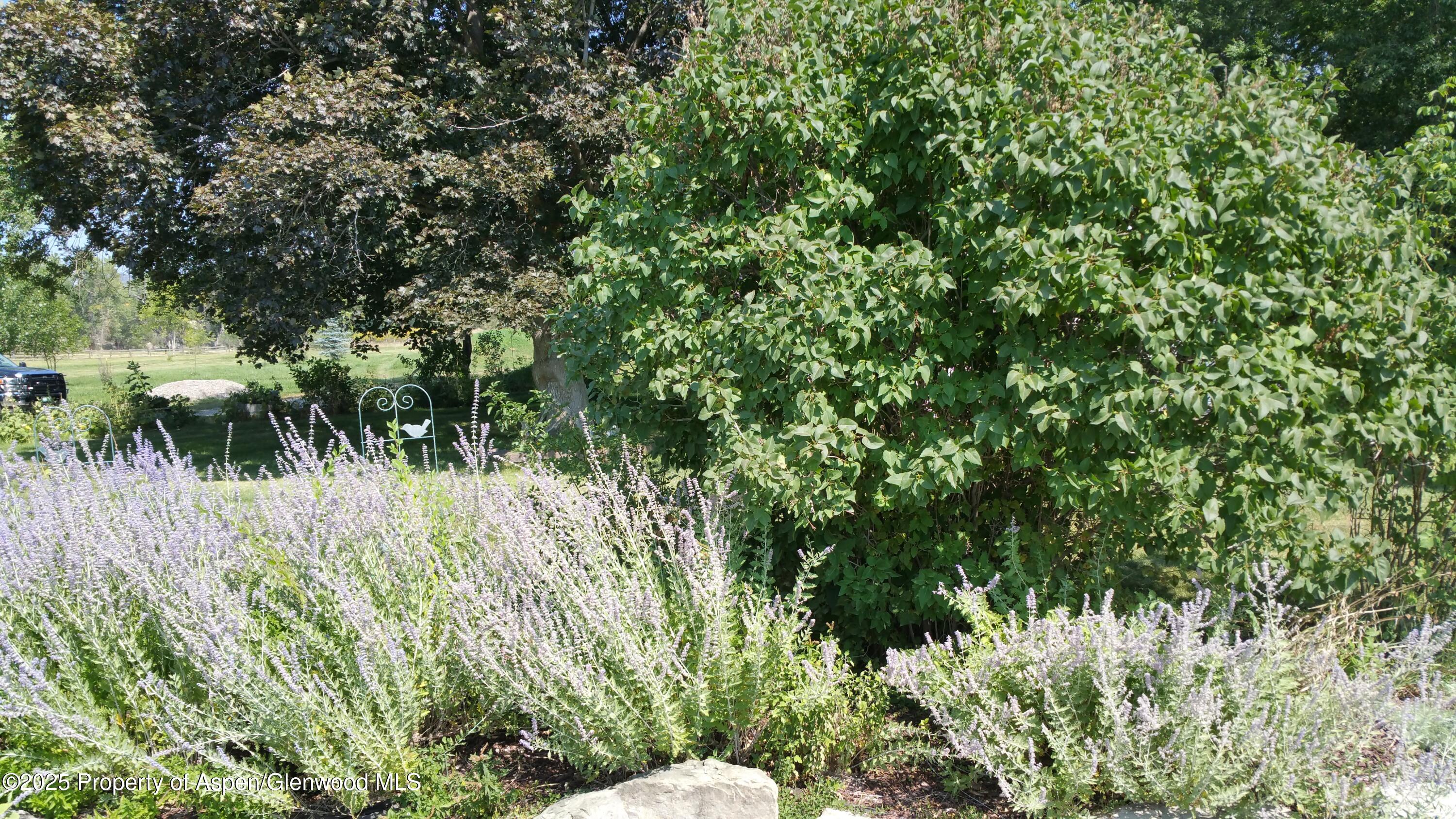 4243 Peach Valley Road Silt CO 81652