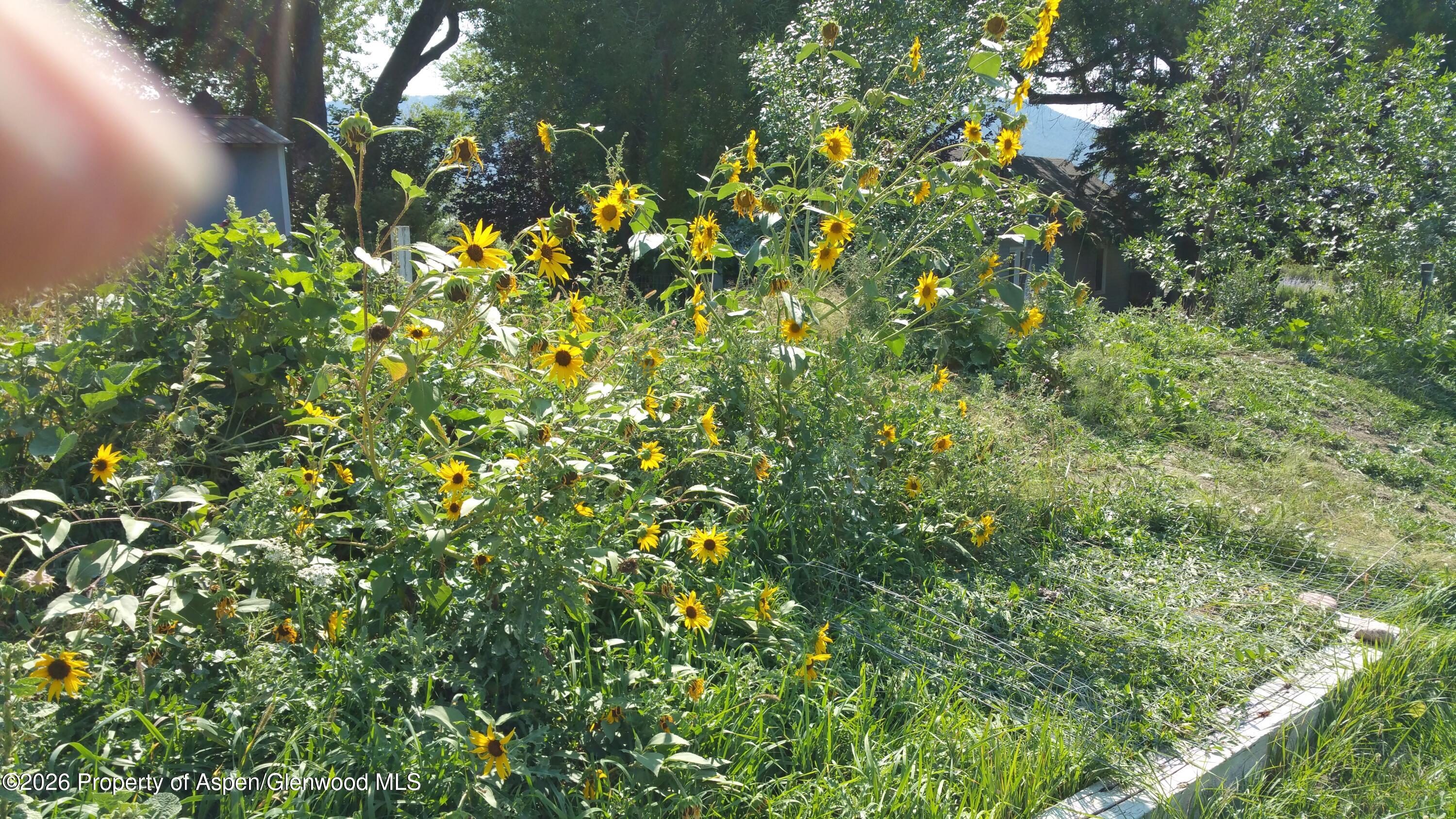 4243 Peach Valley Road Silt CO 81652