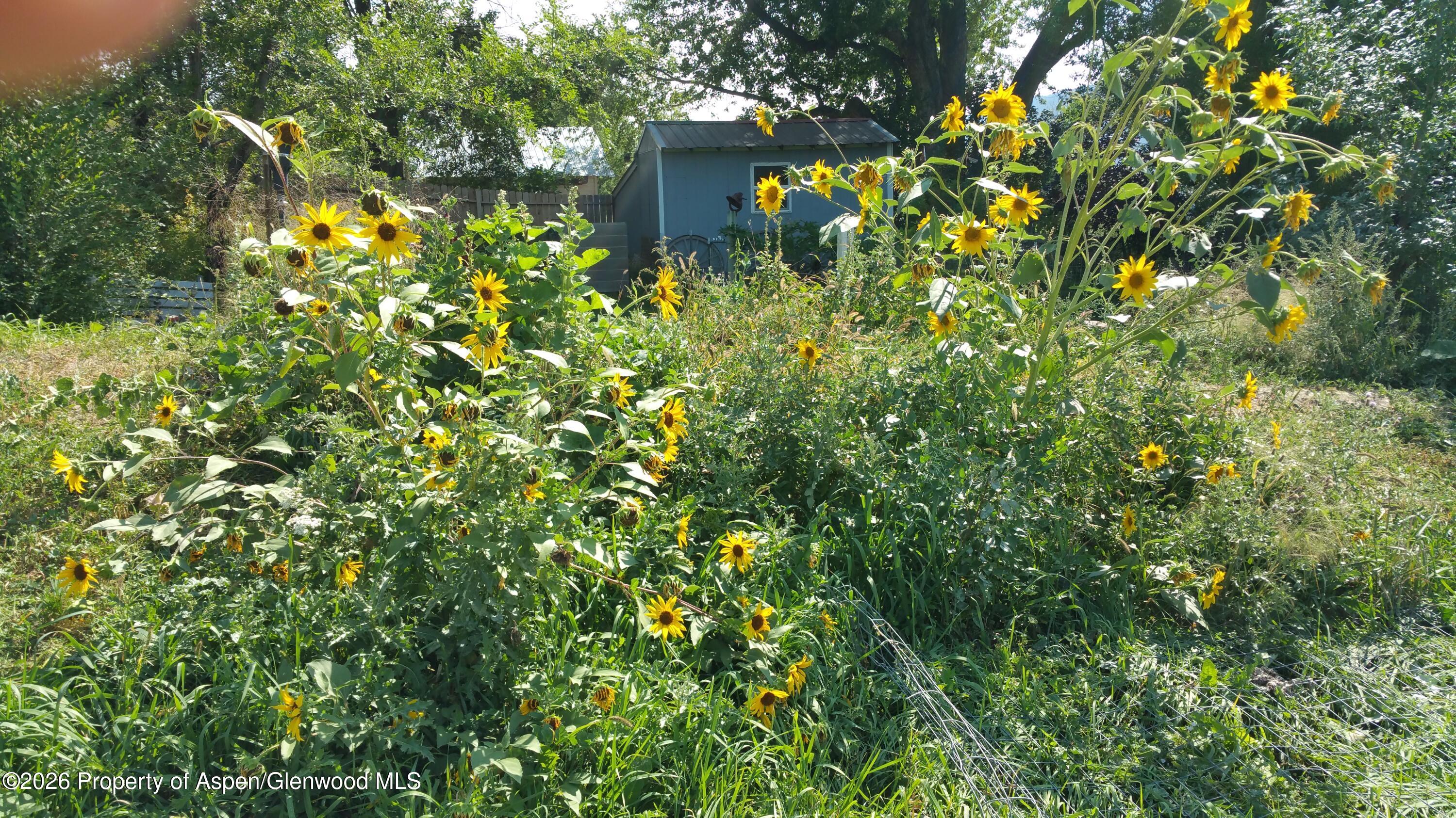 4243 Peach Valley Road Silt CO 81652