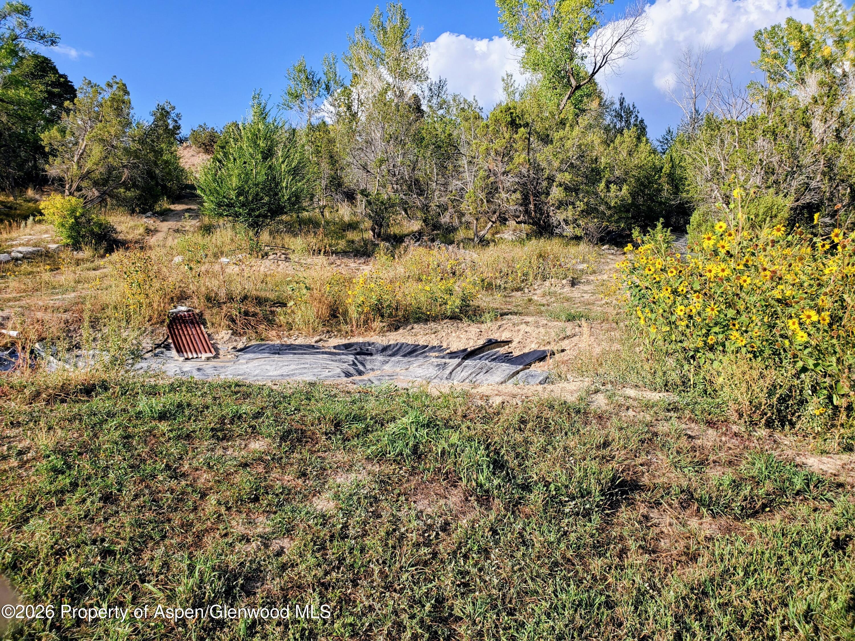 4243 Peach Valley Road Silt CO 81652