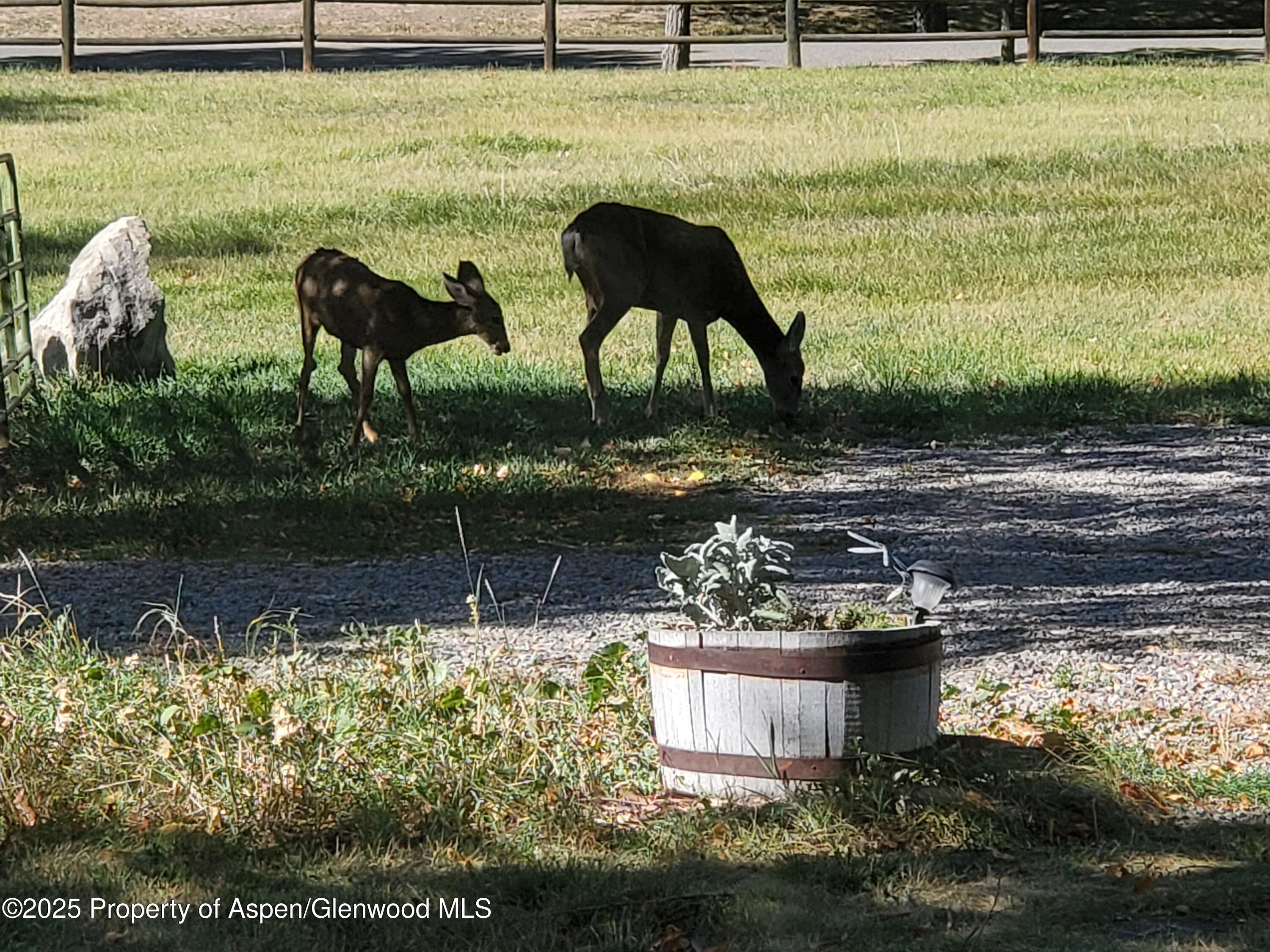 4243 Peach Valley Road Silt CO 81652