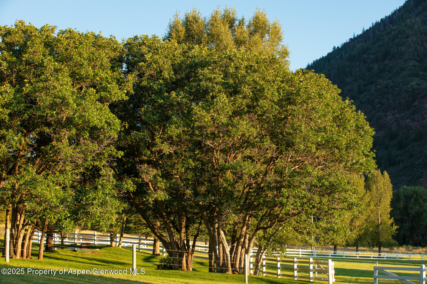 2147 Lower River Road Snowmass CO 81654