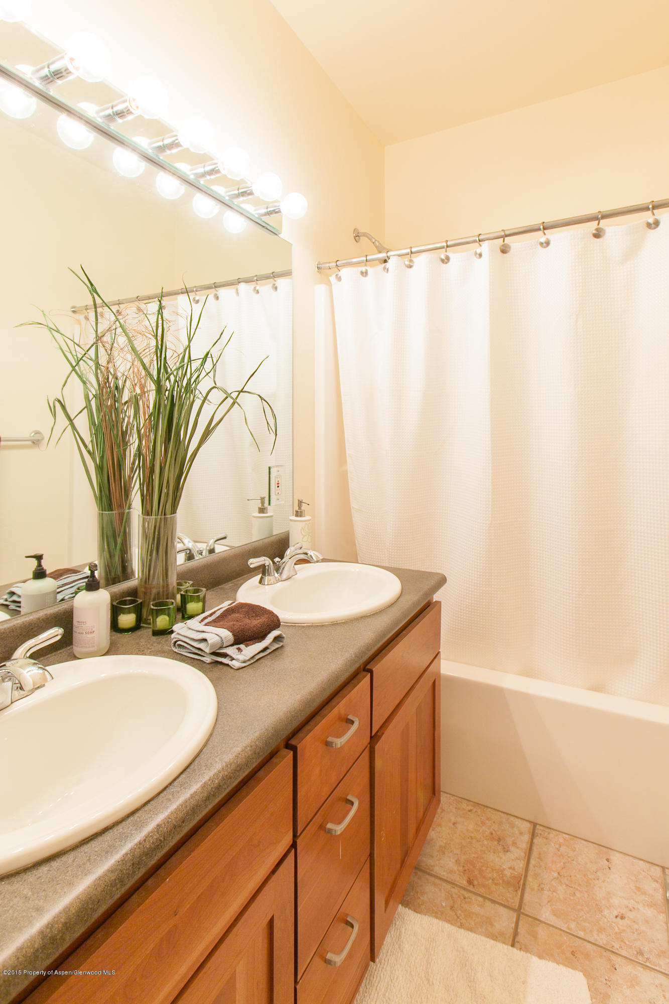2377 Holland Drive Carbondale CO 81623