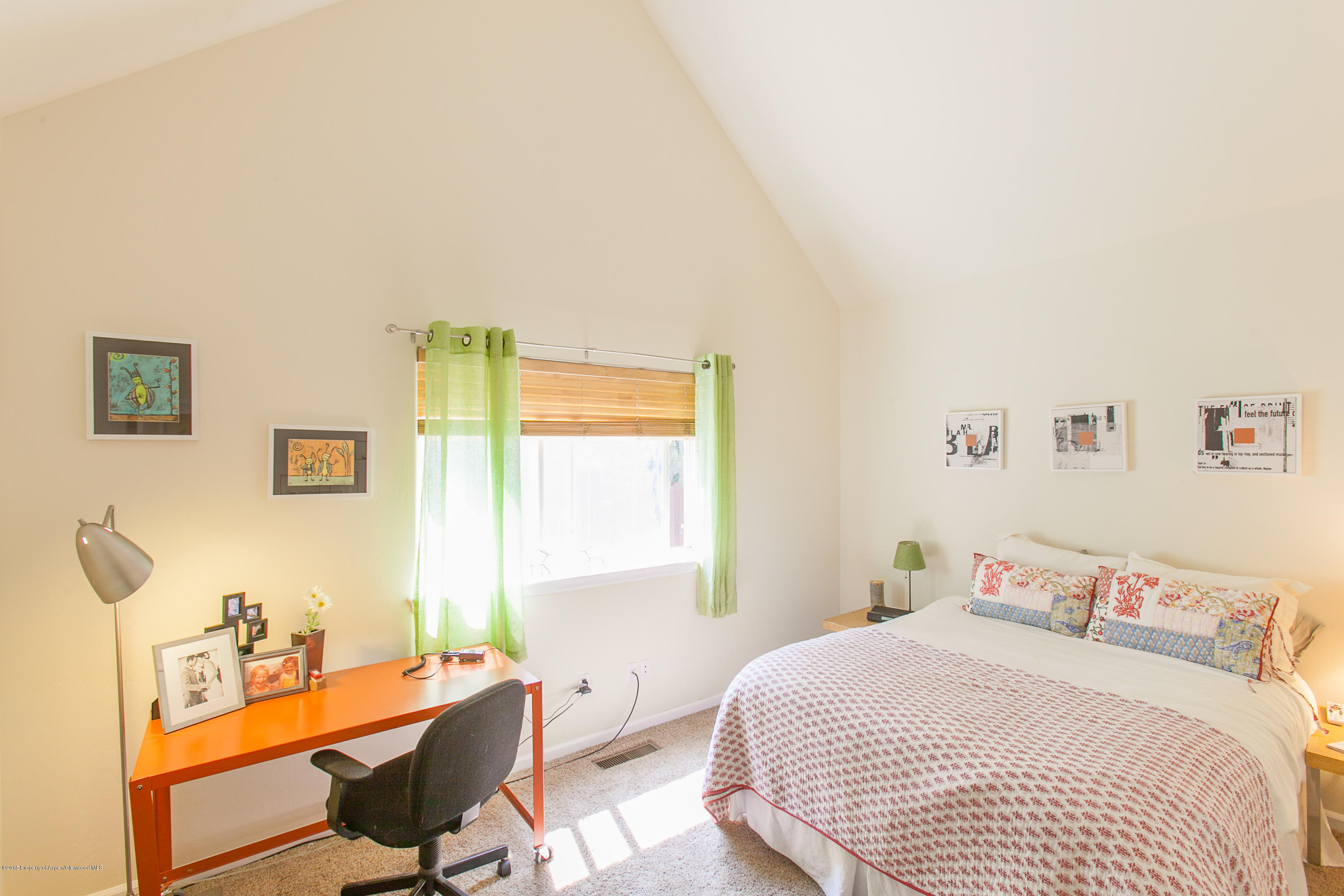 2377 Holland Drive Carbondale CO 81623