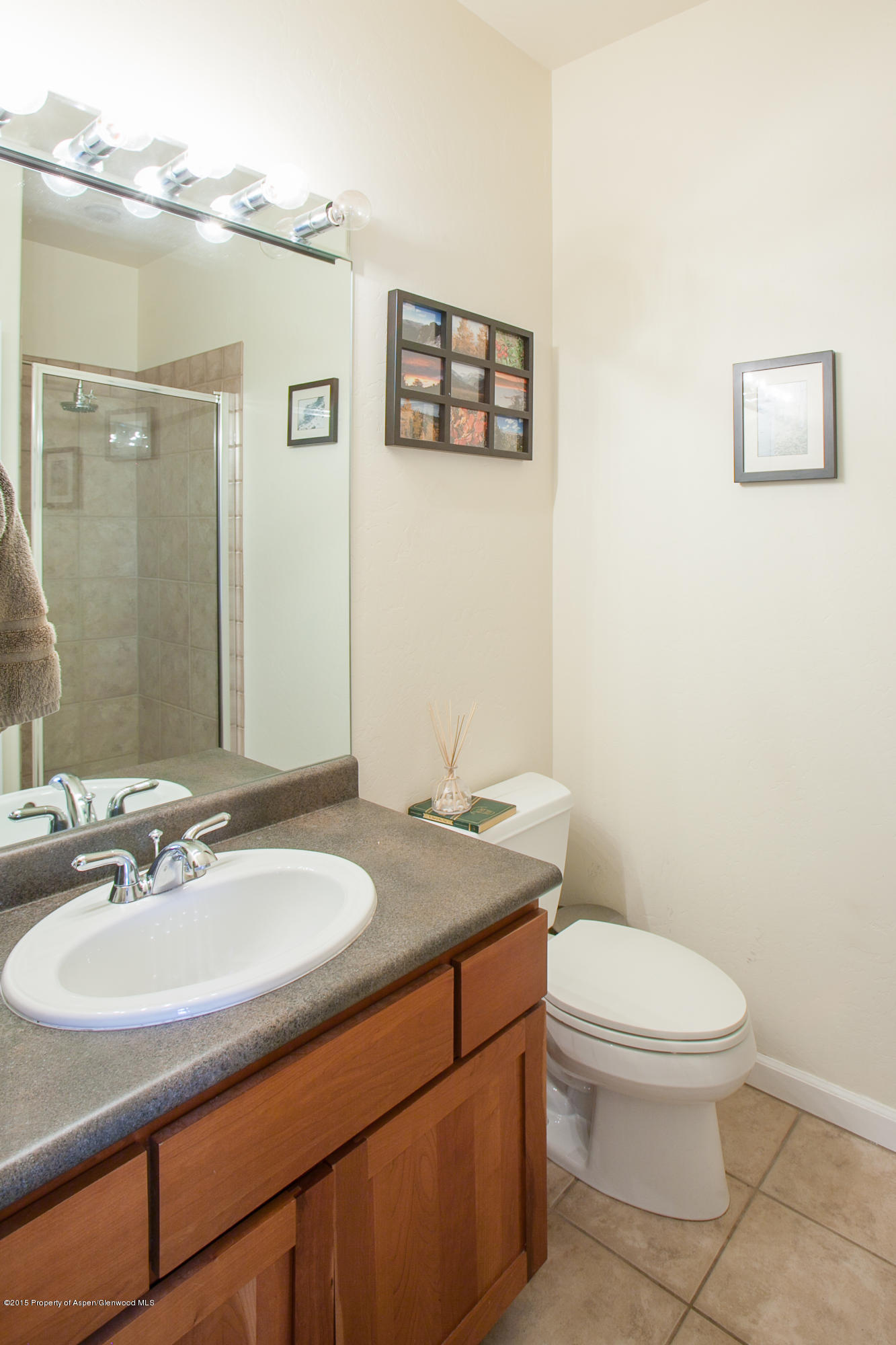 2377 Holland Drive Carbondale CO 81623