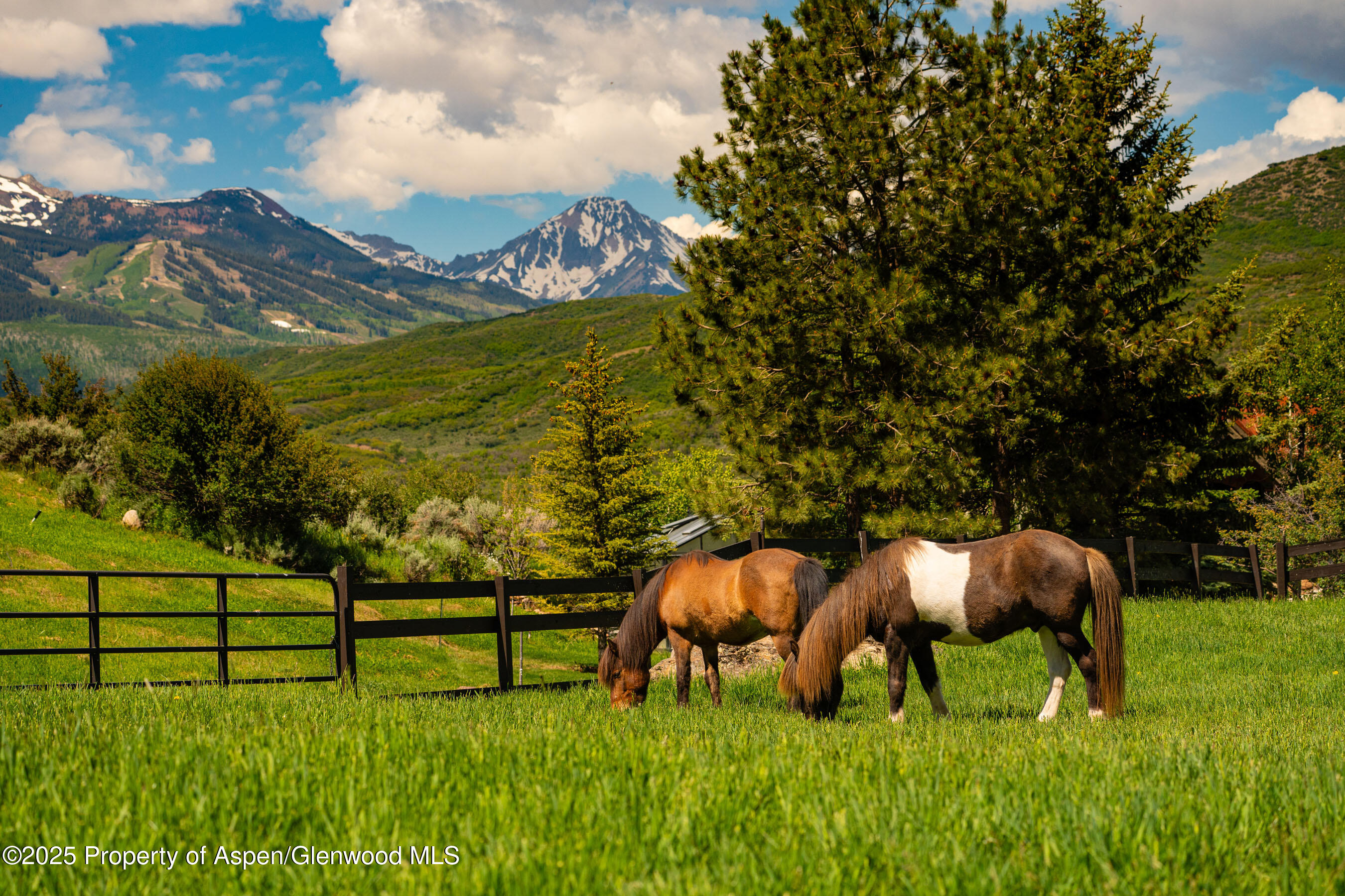 26 Bunker Loop Aspen CO 81611