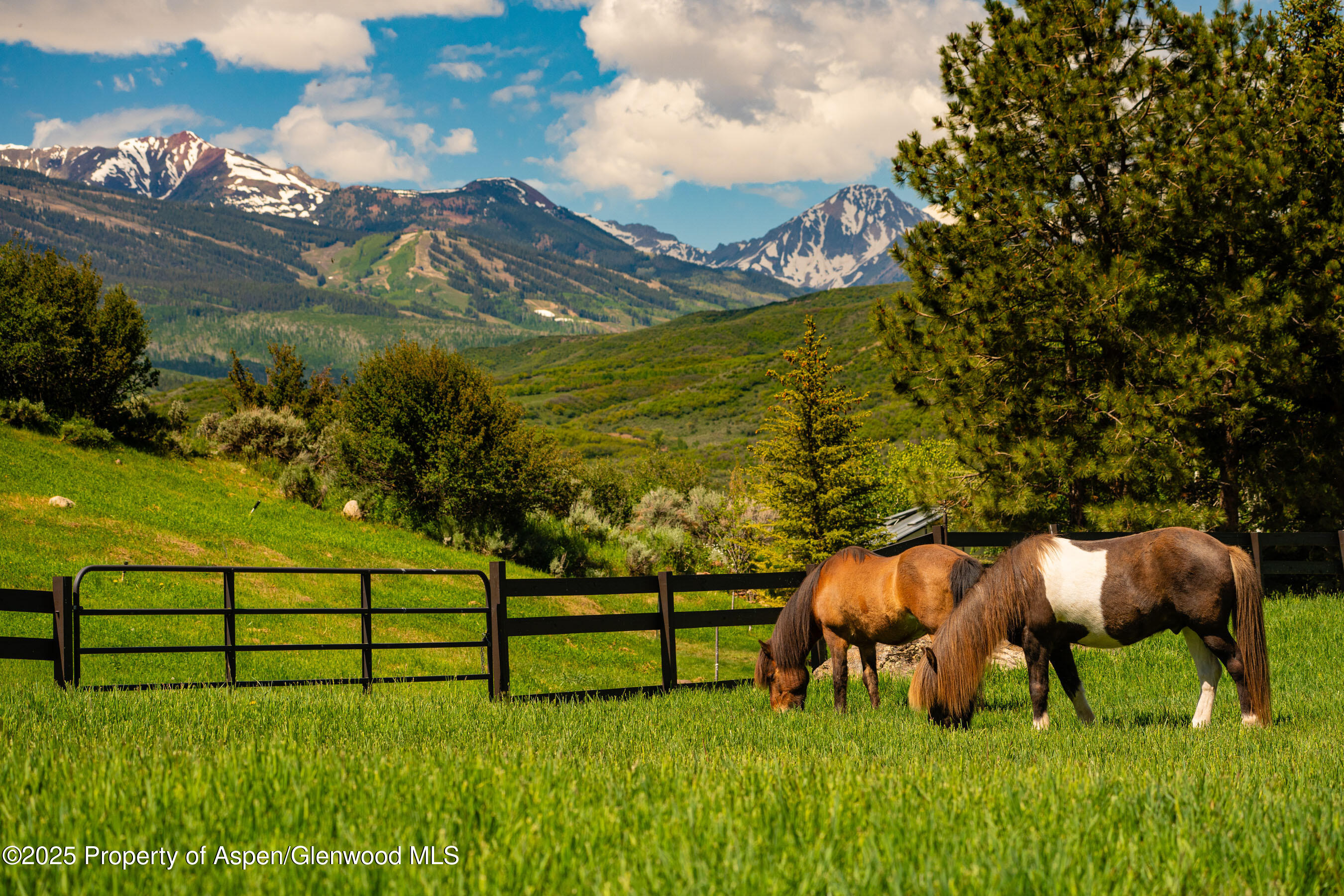 26 Bunker Loop Aspen CO 81611
