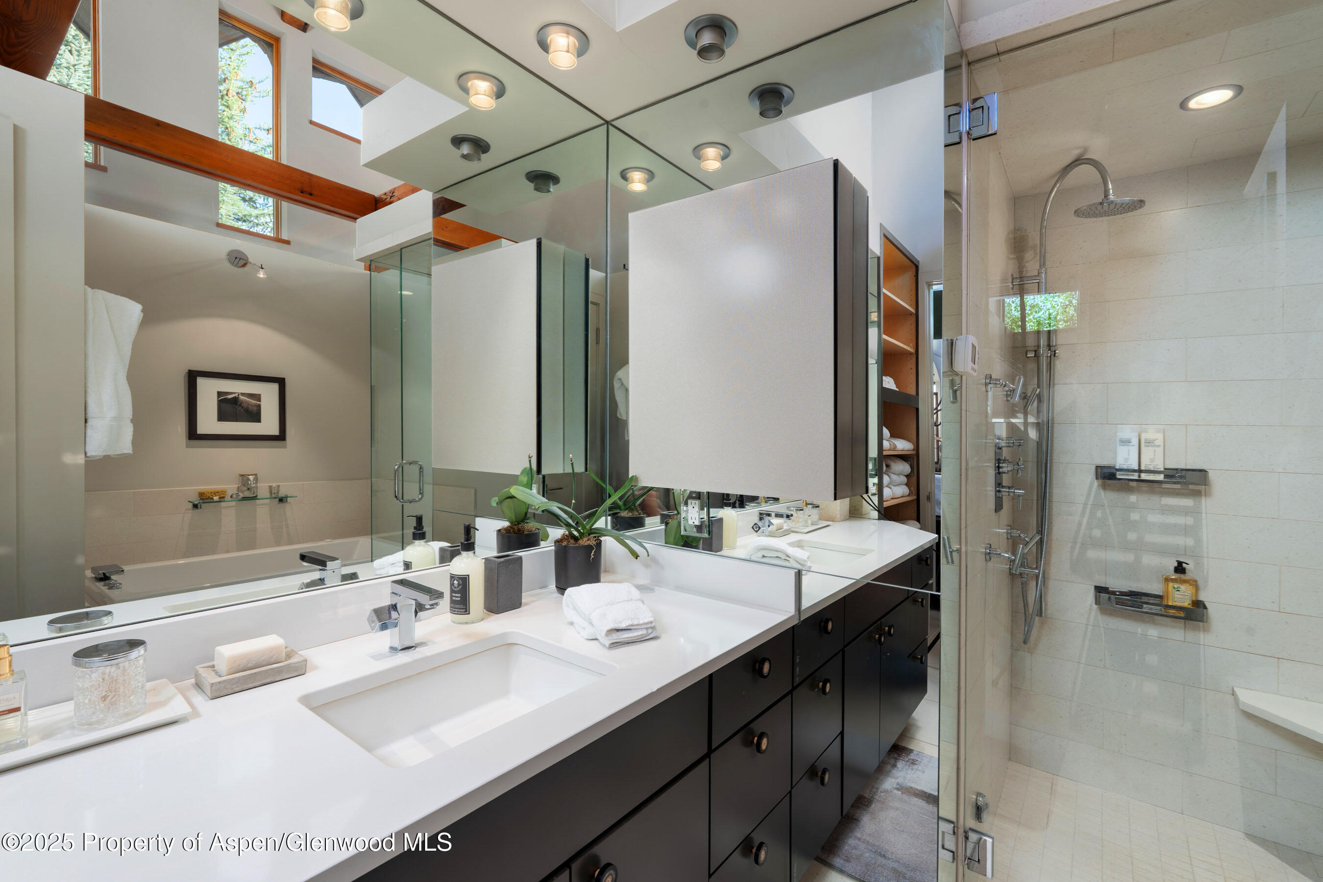 26 Bunker Loop Aspen CO 81611