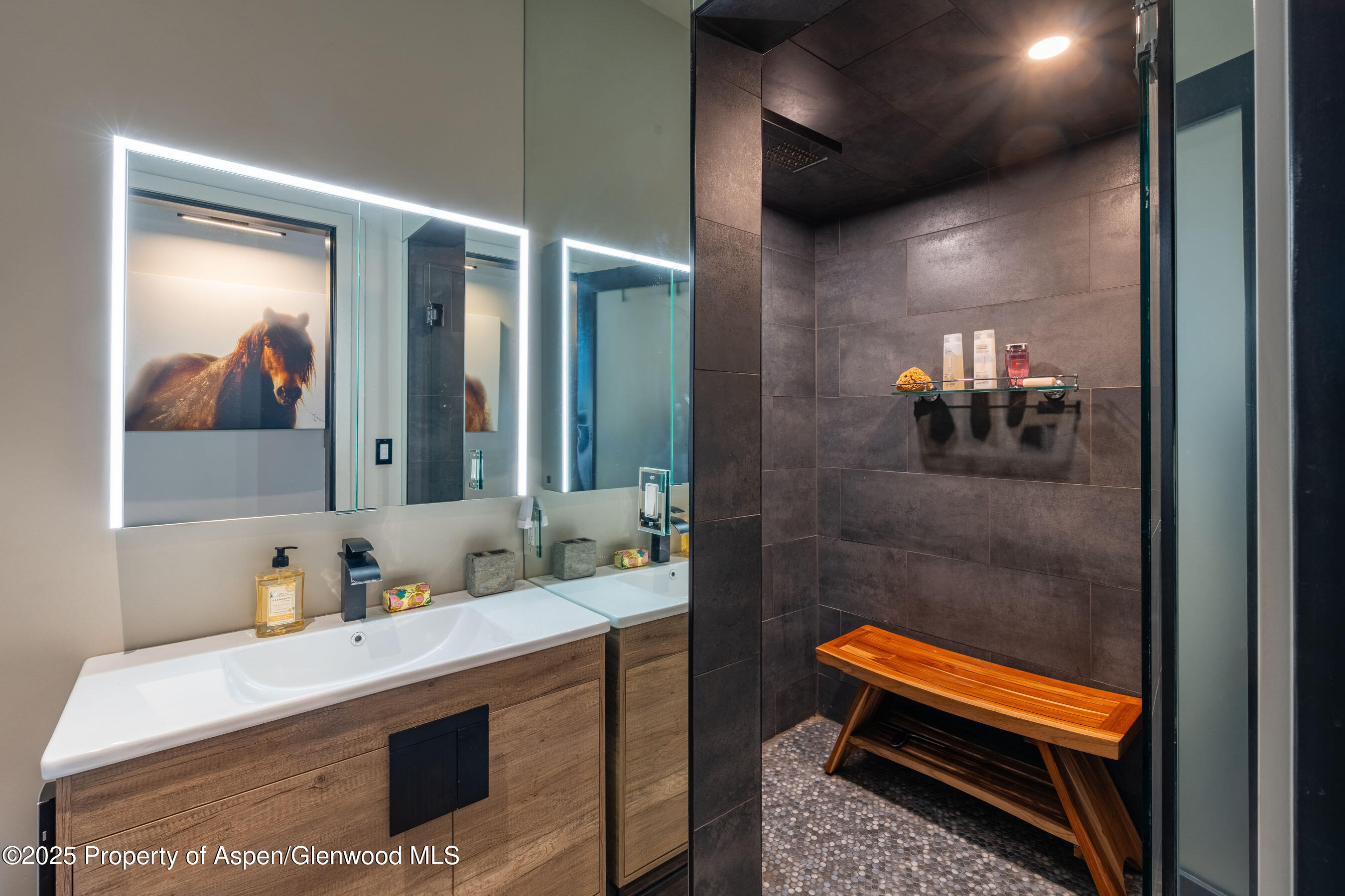 26 Bunker Loop Aspen CO 81611