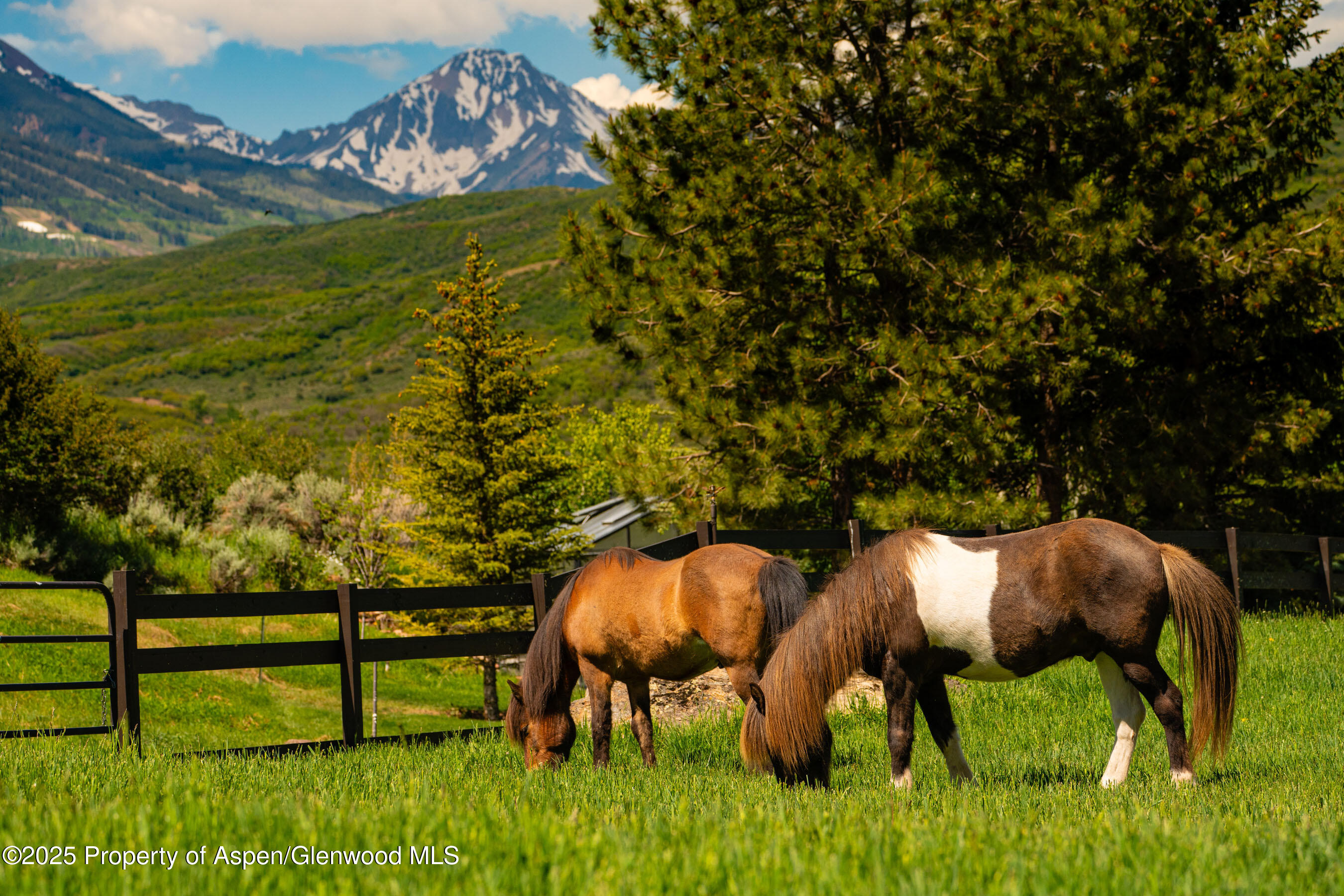26 Bunker Loop Aspen CO 81611