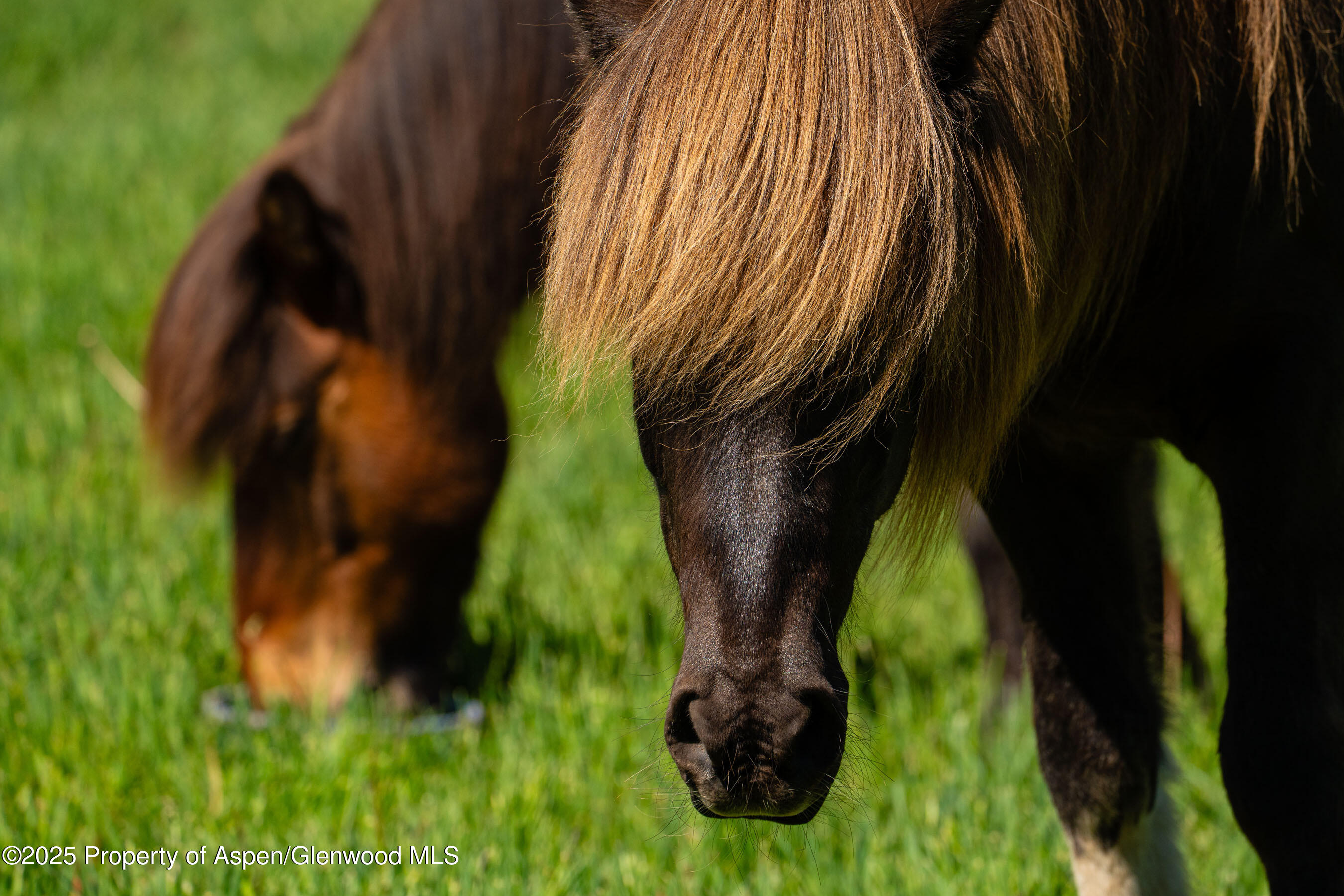 26 Bunker Loop Aspen CO 81611