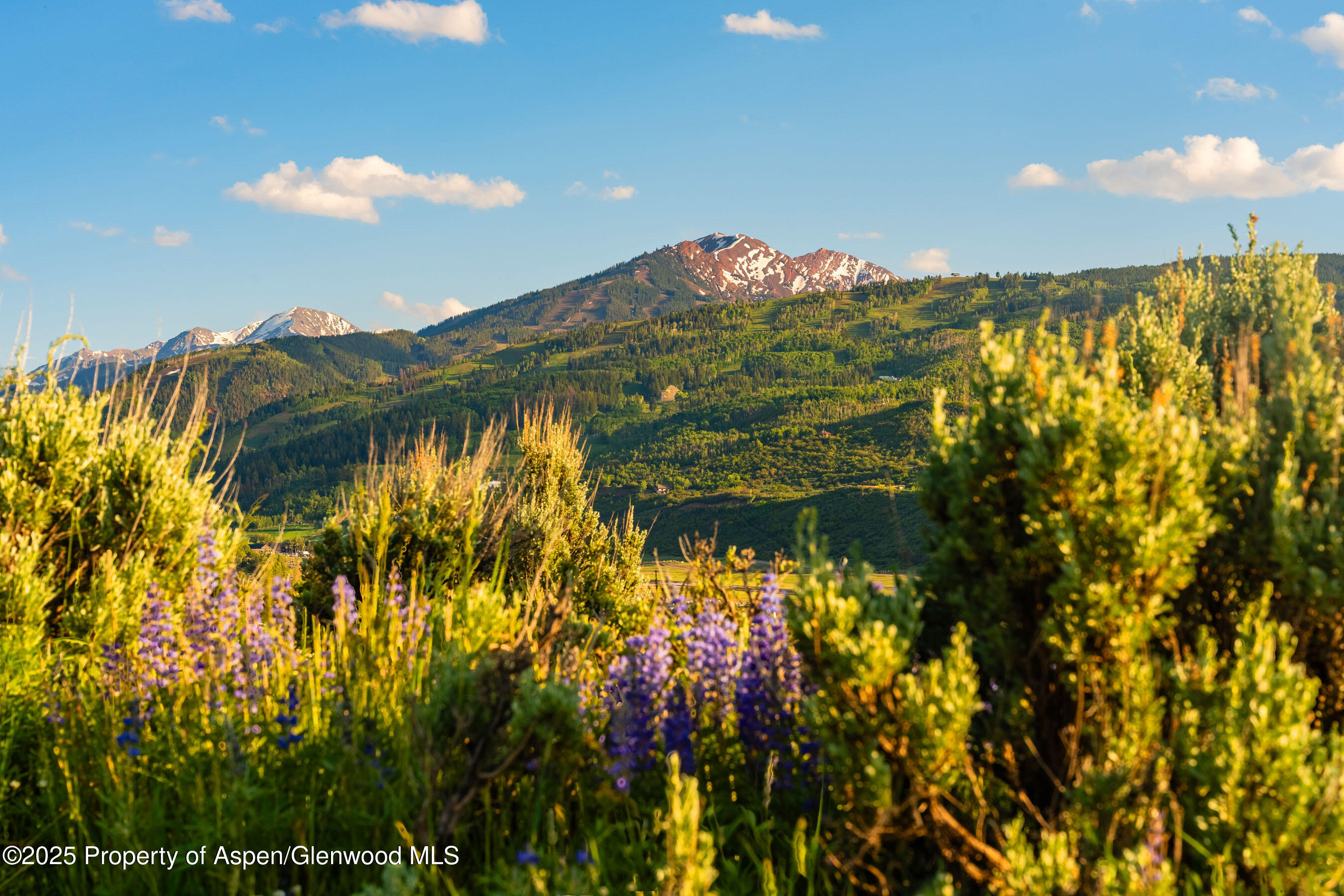 26 Bunker Loop Aspen CO 81611