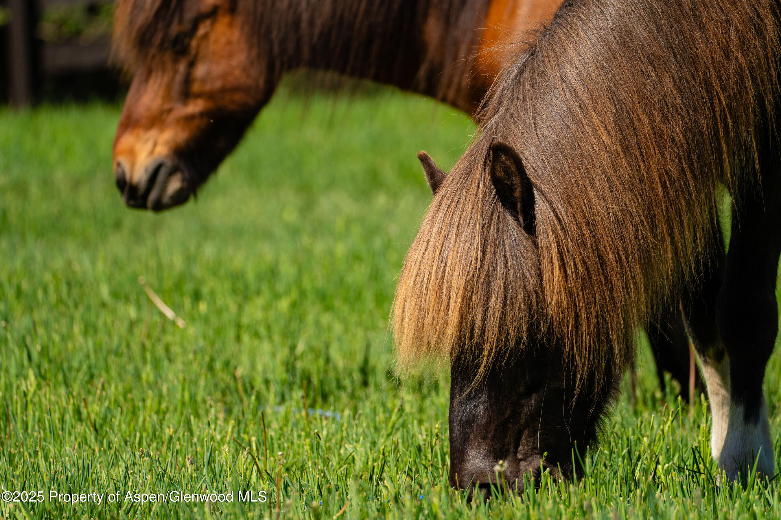 26 Bunker Loop Aspen CO 81611