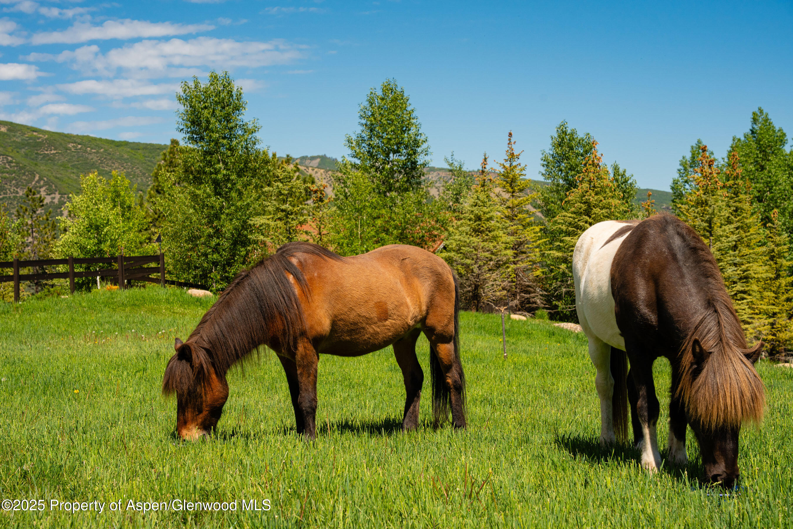 26 Bunker Loop Aspen CO 81611