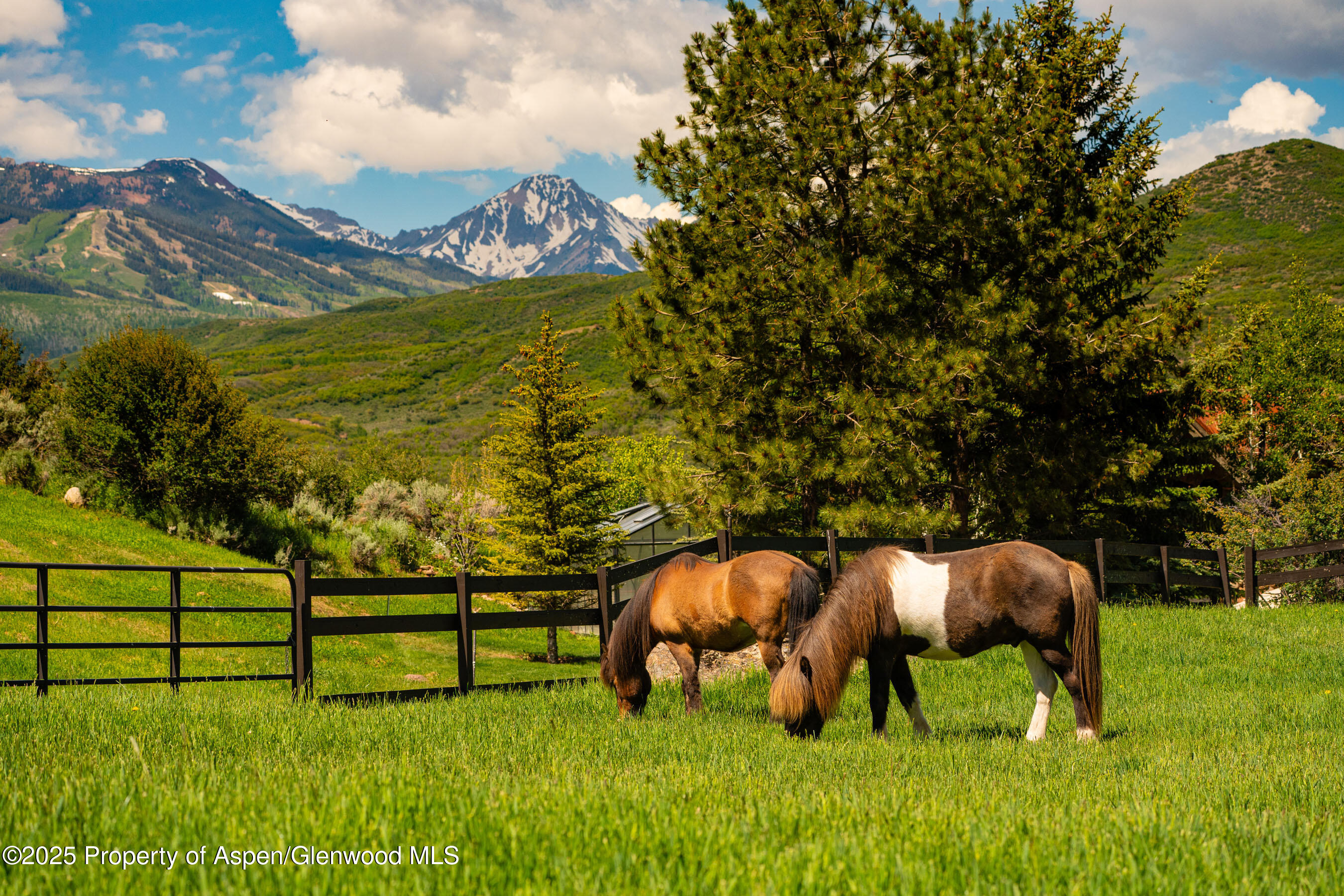 26 Bunker Loop Aspen CO 81611