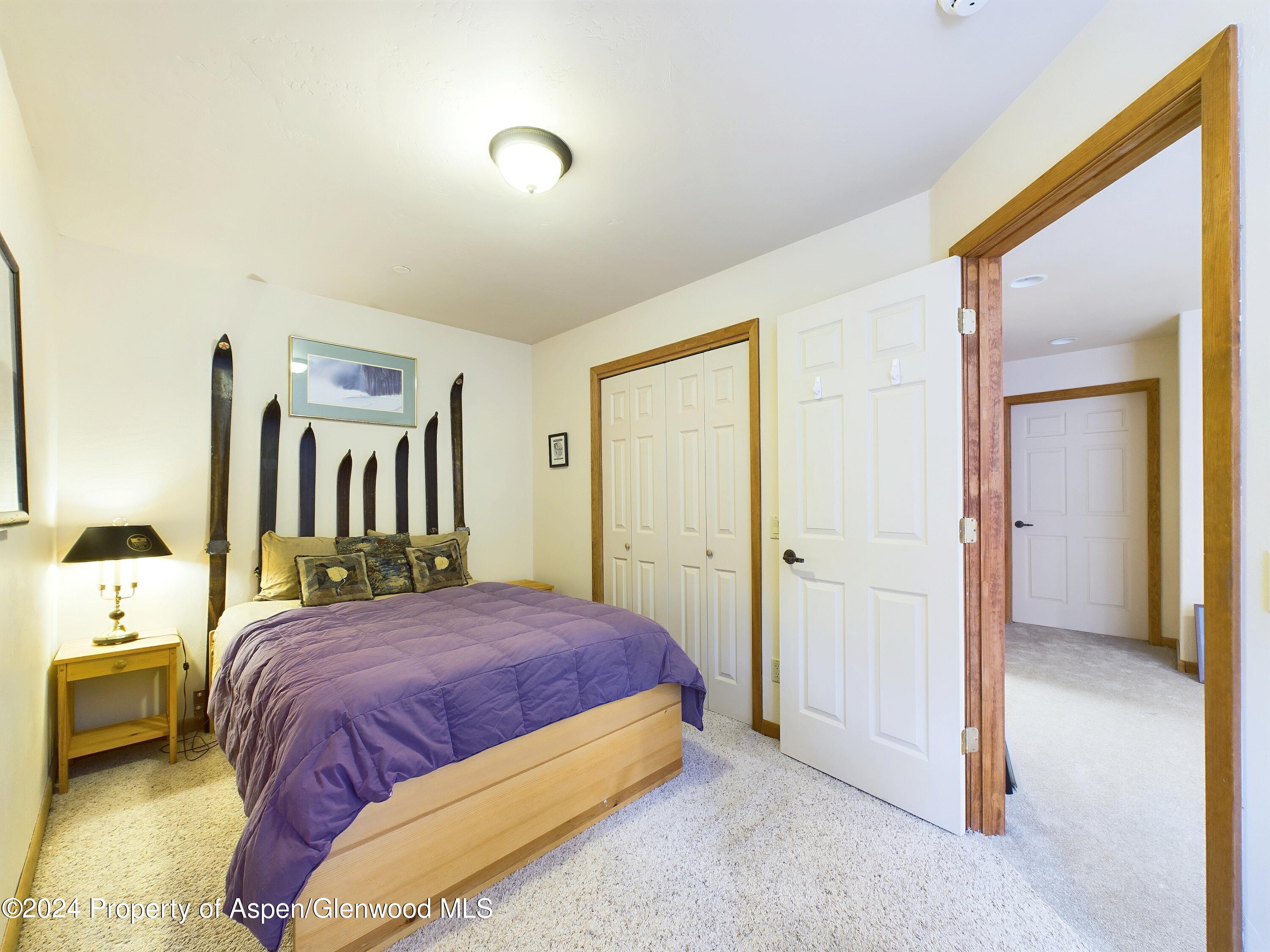 170 Totterdown Road Aspen CO 81611