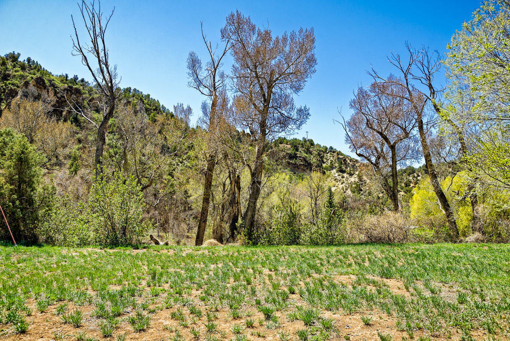 1612 Greystone Drive Carbondale CO 81623