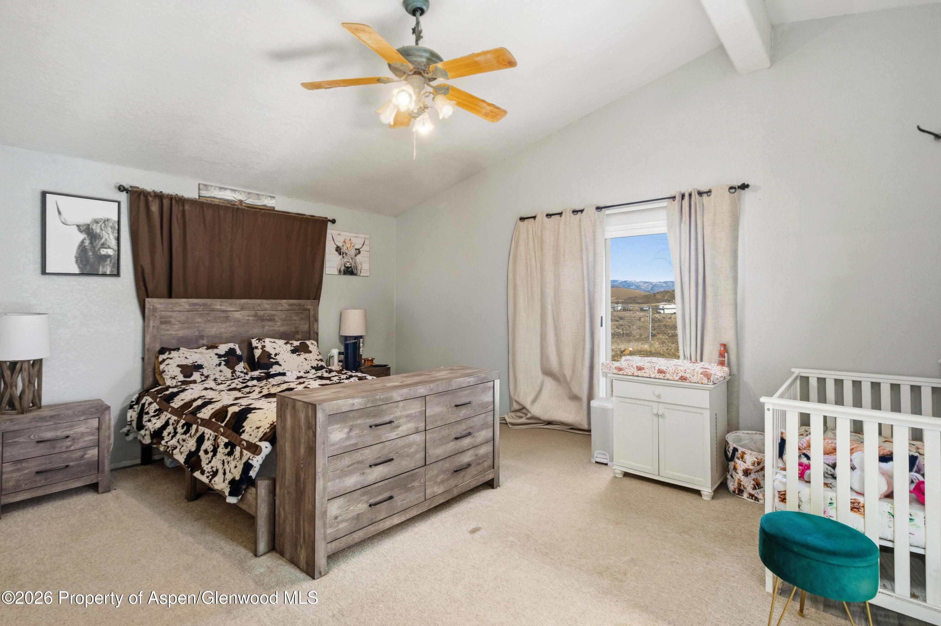 160 Mineota Drive Silt CO 81652