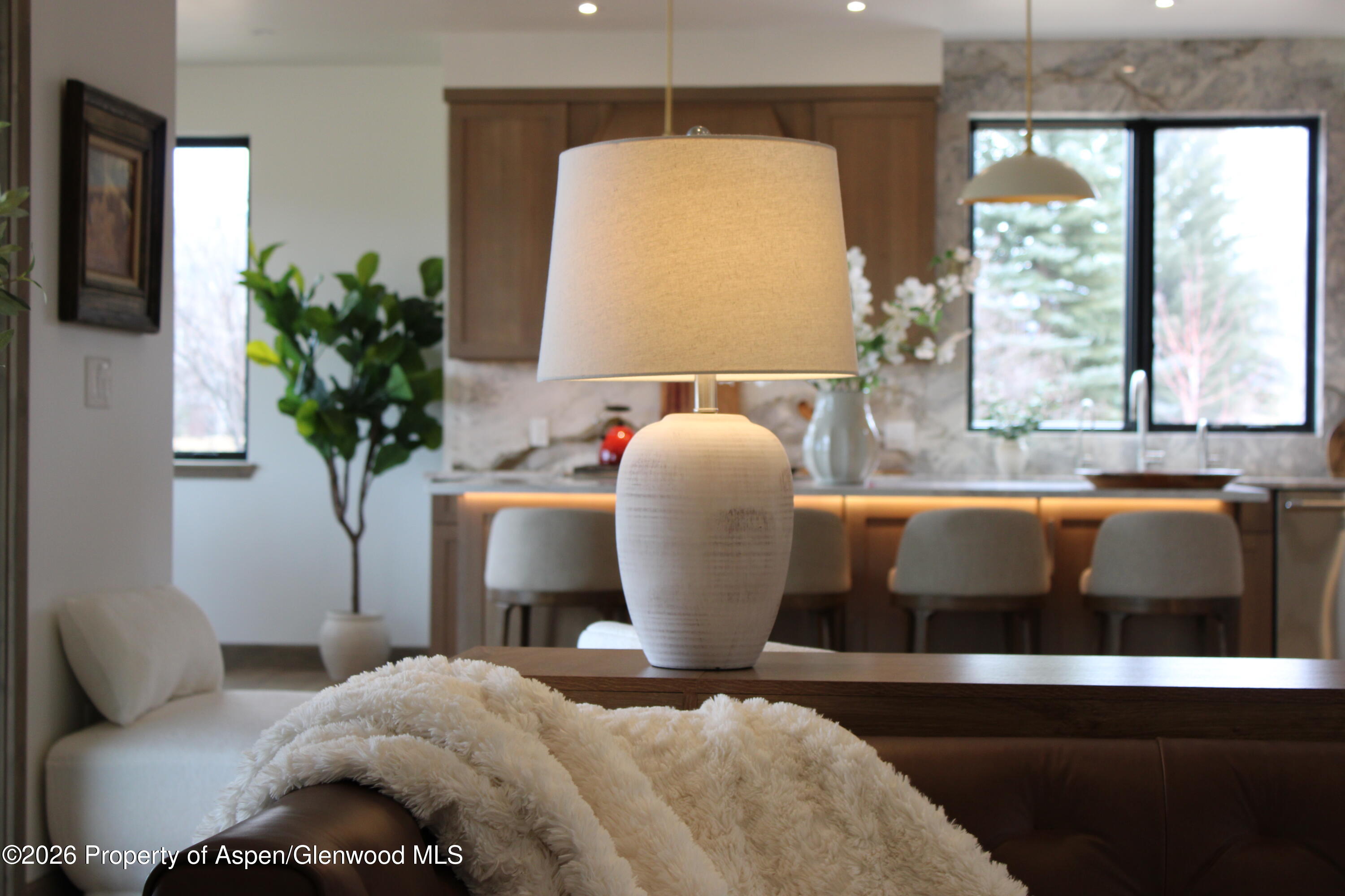 22 Heritage Court Carbondale CO 81623